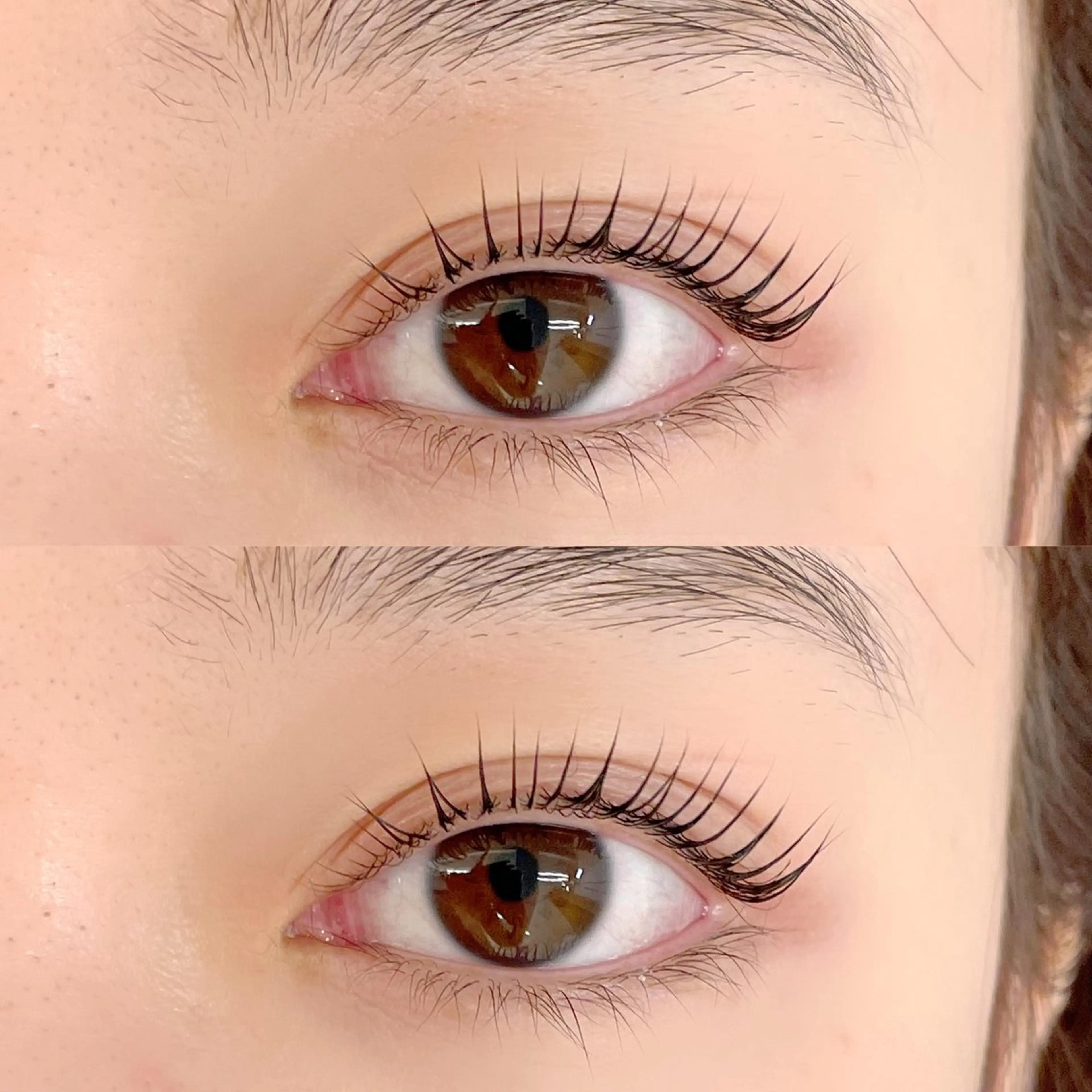 大人気セットメニュー❣️美眉スタイリング&パリジェンヌ/メーテル/パンダ🐼💜の写真