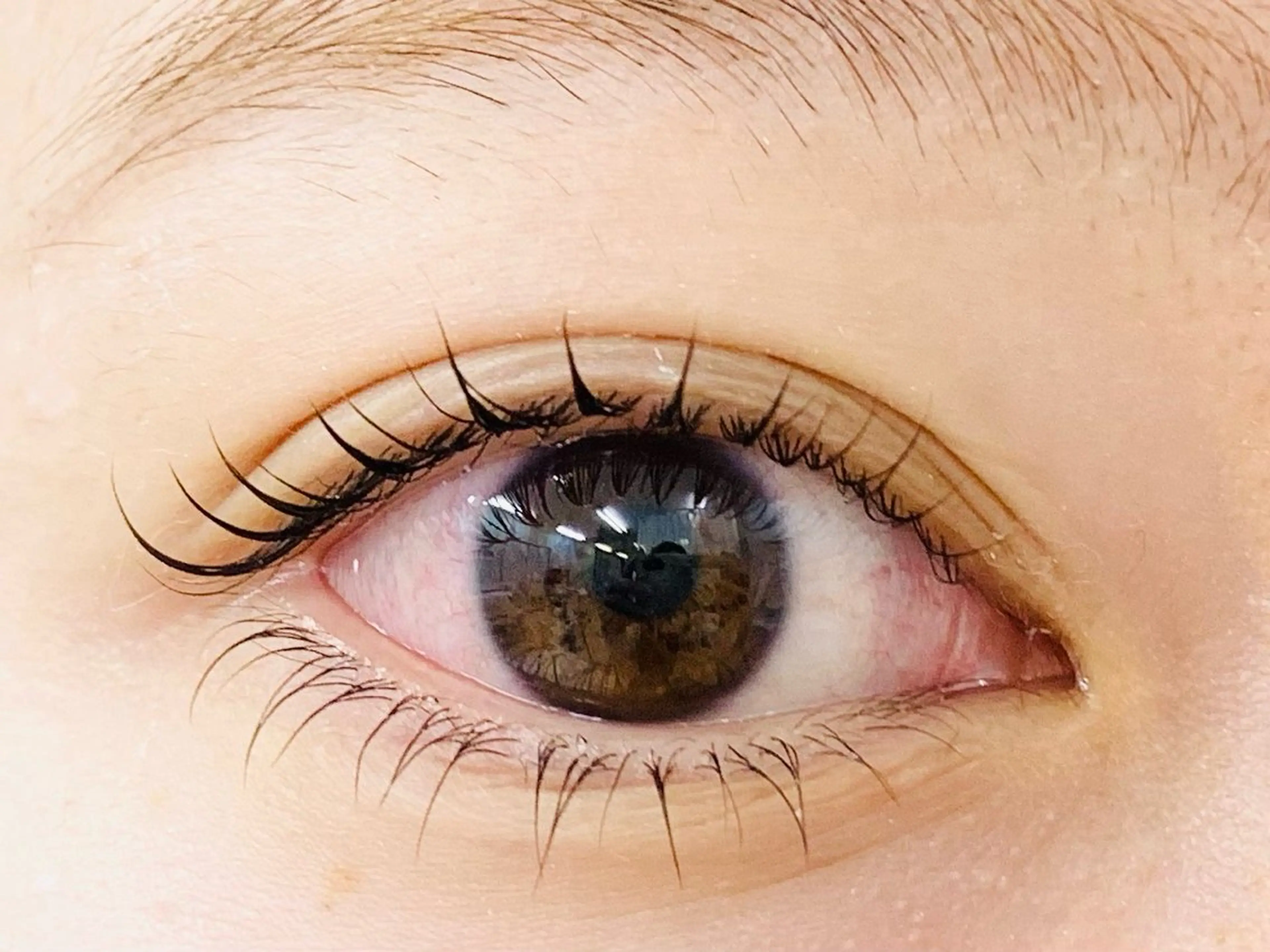 マツエク・マツパ 一重×まつ毛パーマ Rich to 松崎　麻衣子のマツエク・マツパデザイン