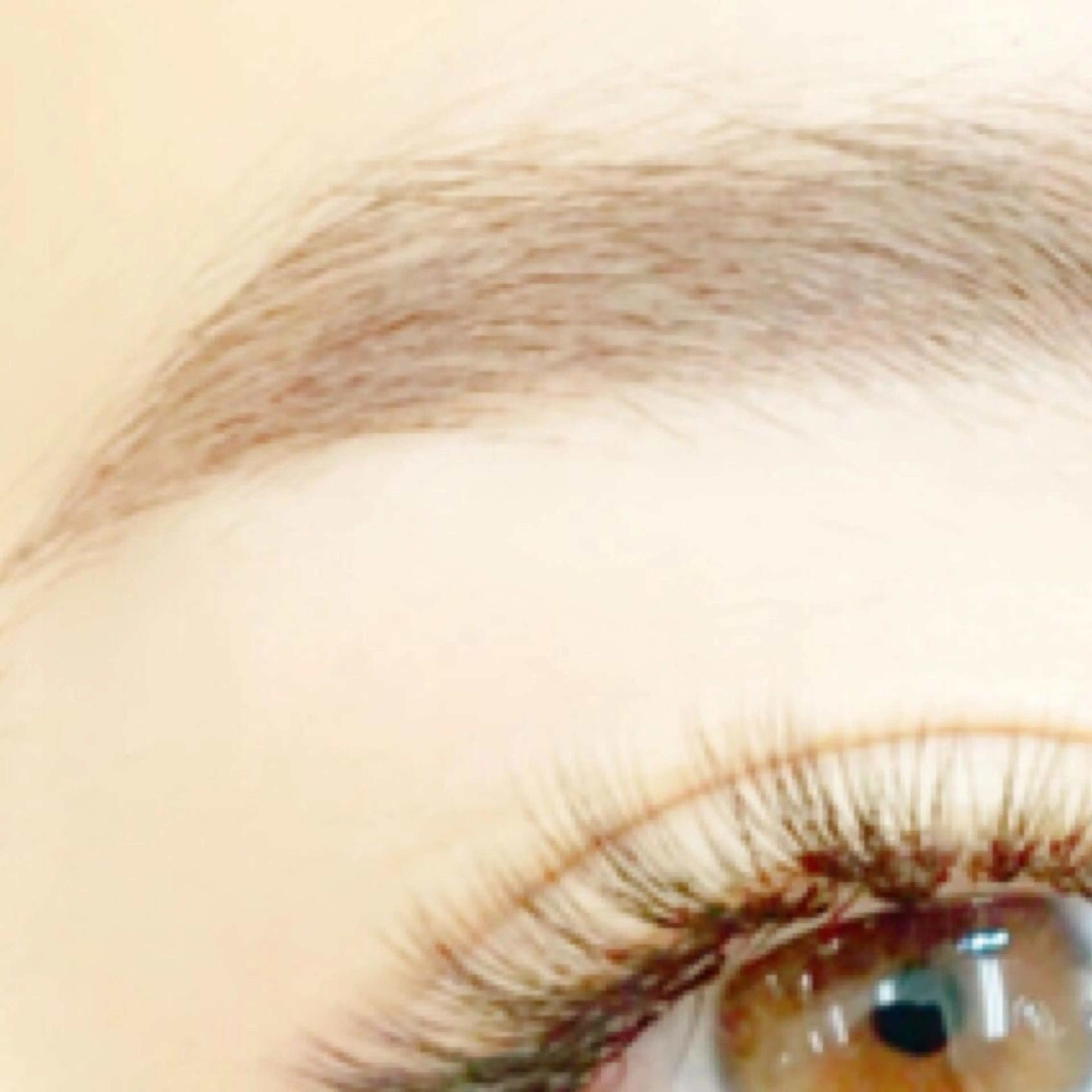 マツエク・マツパ eyelash- r🌹の眉毛・アイブロウイメージ