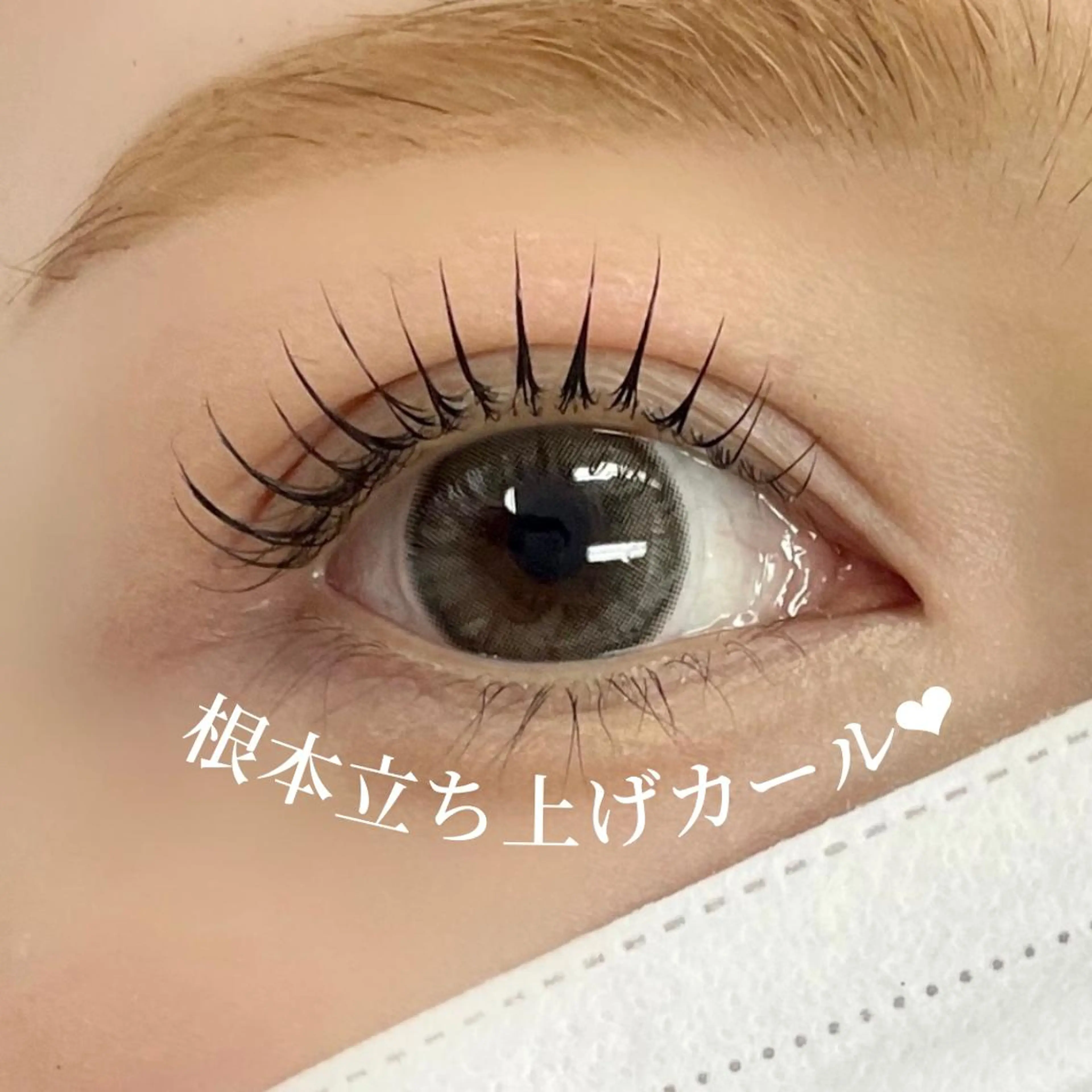 マツエク・マツパ マツパ 大阪福島韓国束感まつ げ Sayaka🤍のマツエク・マツパデザイン