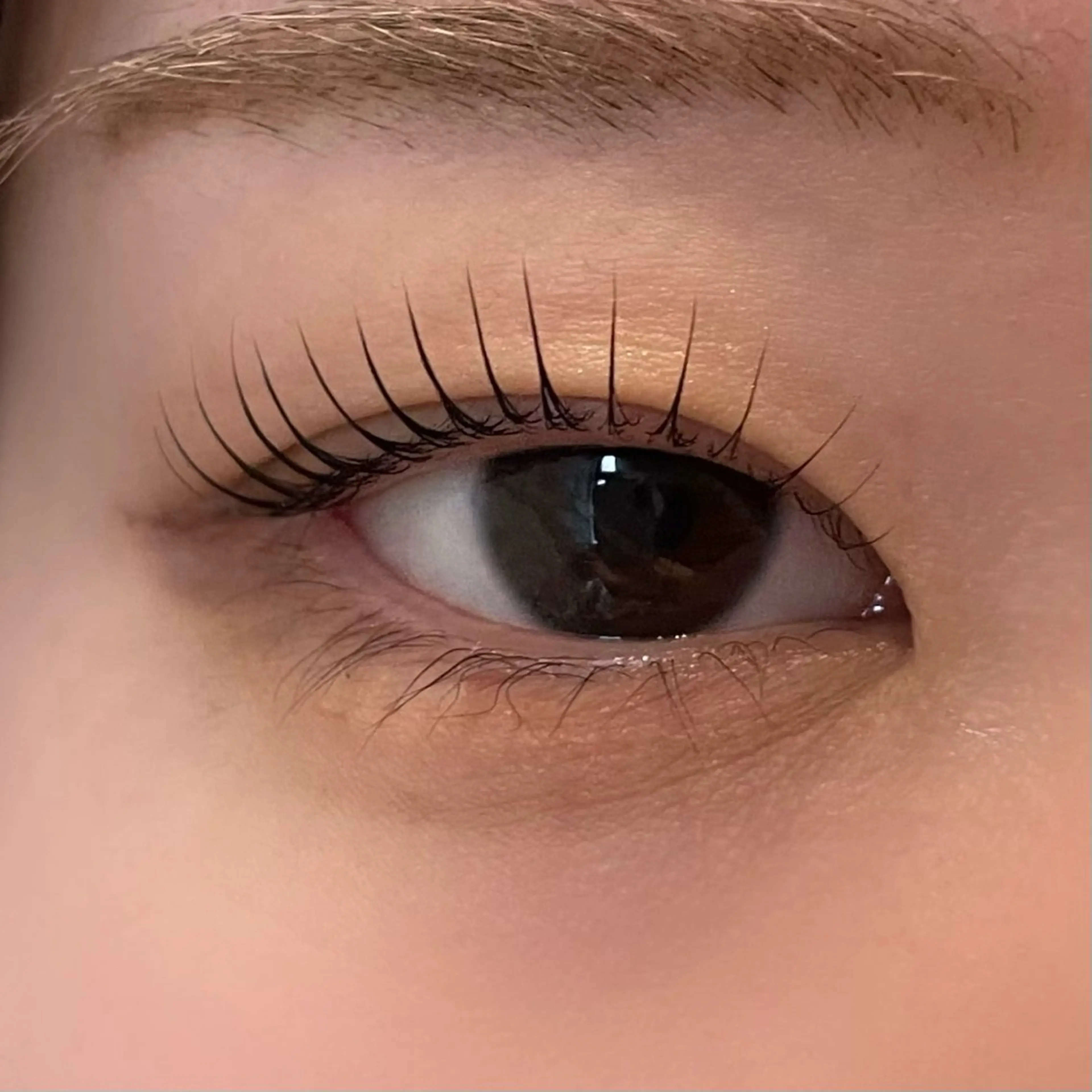 マツエク・マツパ 一重×まつ毛パーマ マツパ 眉毛/まつ毛/代官山 アイサロン🌻NAEのマツエク・マツパデザイン