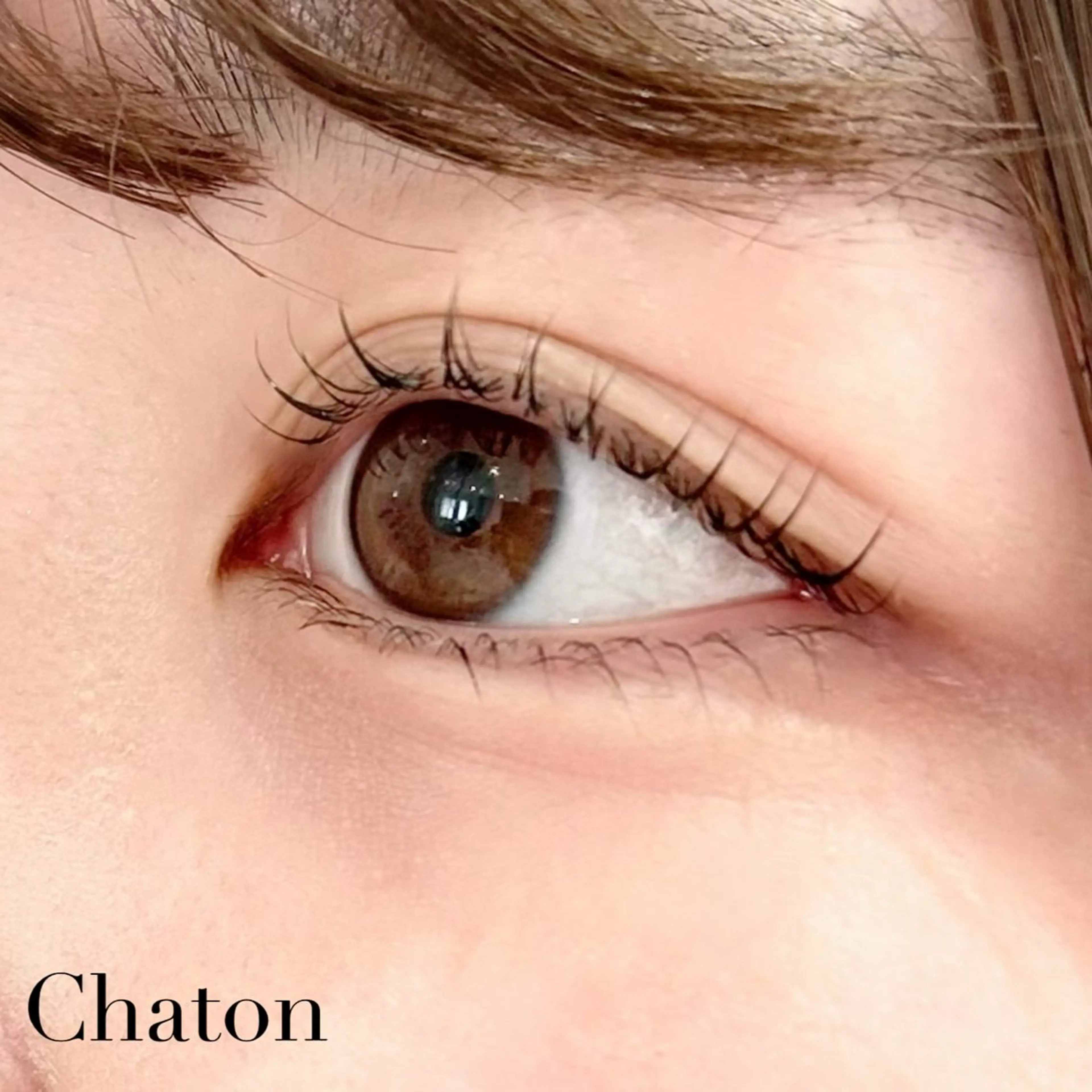 マツエク・マツパ Chaton IGARASHIのマツエク・マツパデザイン