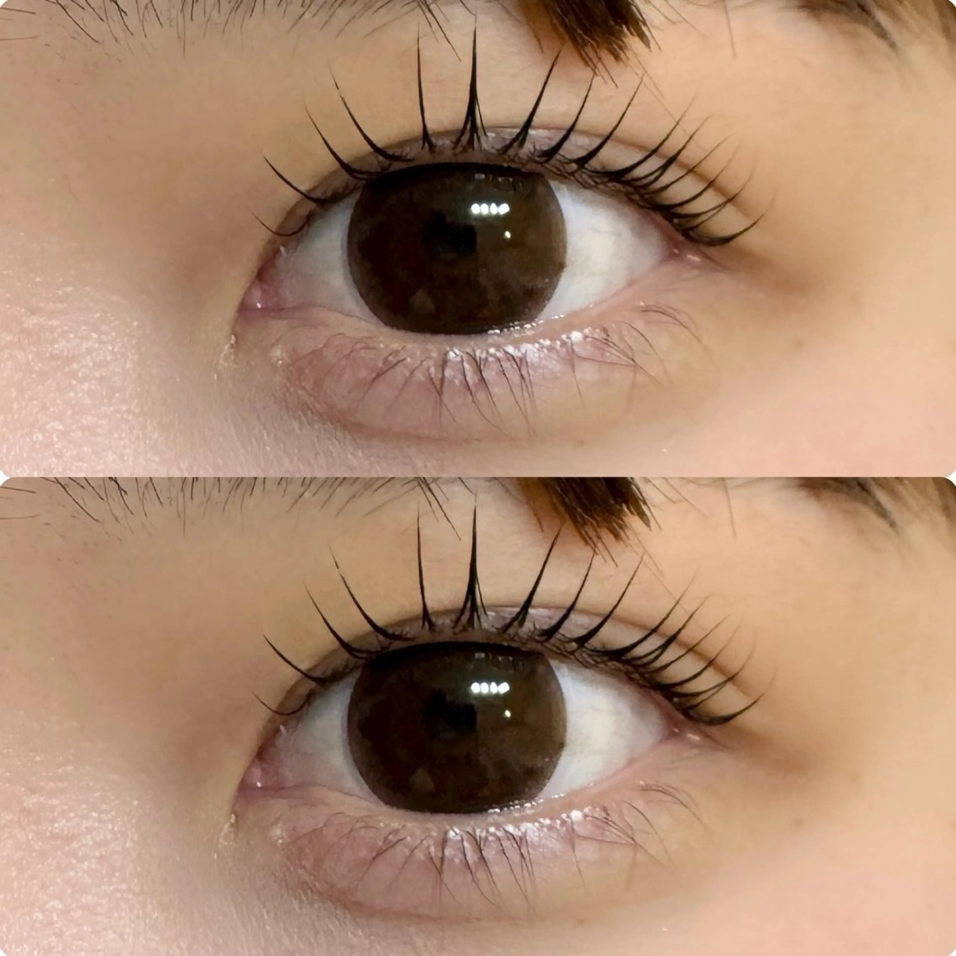 🤎アイラッシュパーマ➕ケラチントリートメント🤎コーティング付き♪の写真