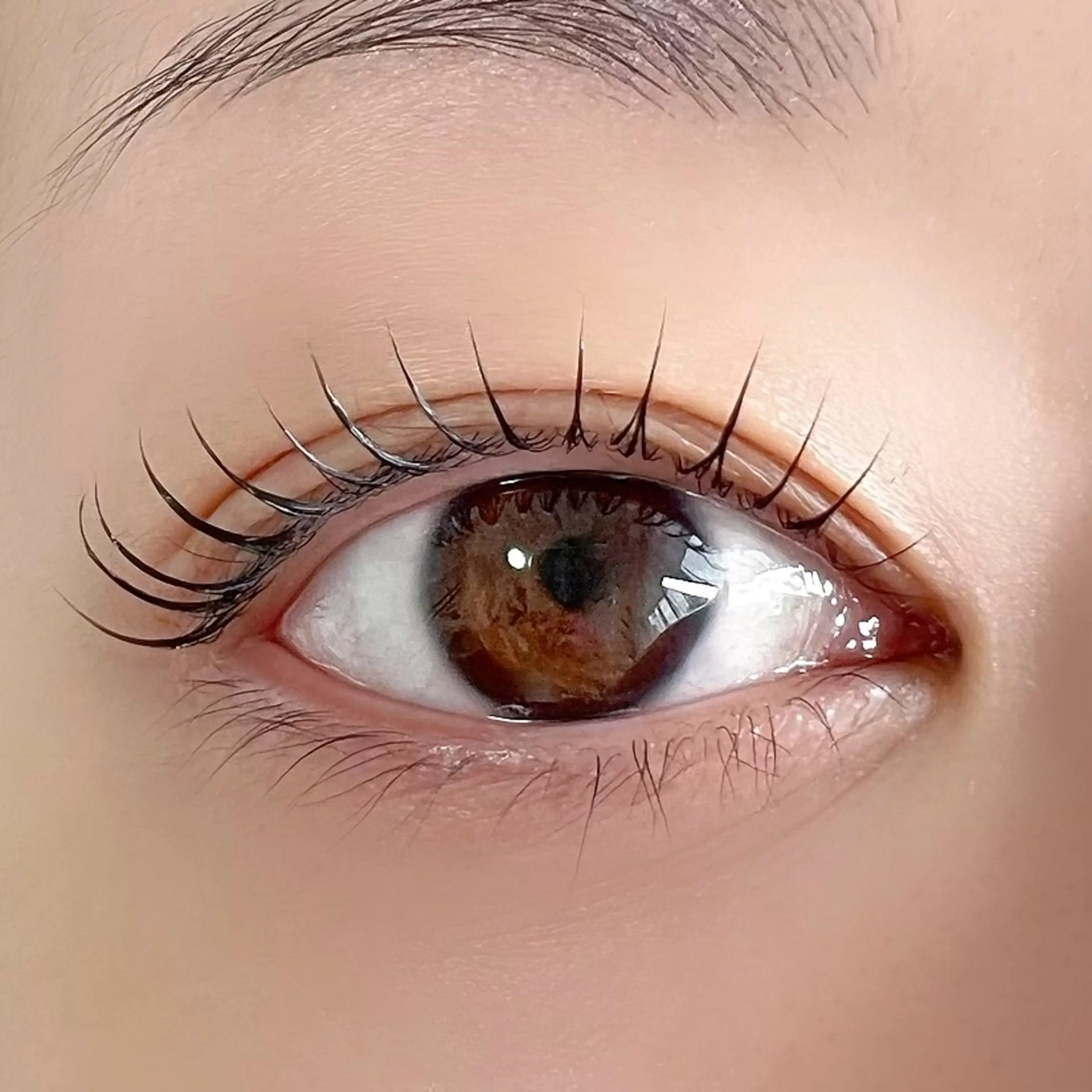 マツエク・マツパ linoa🌿 【天王寺】のマツエク・マツパデザイン