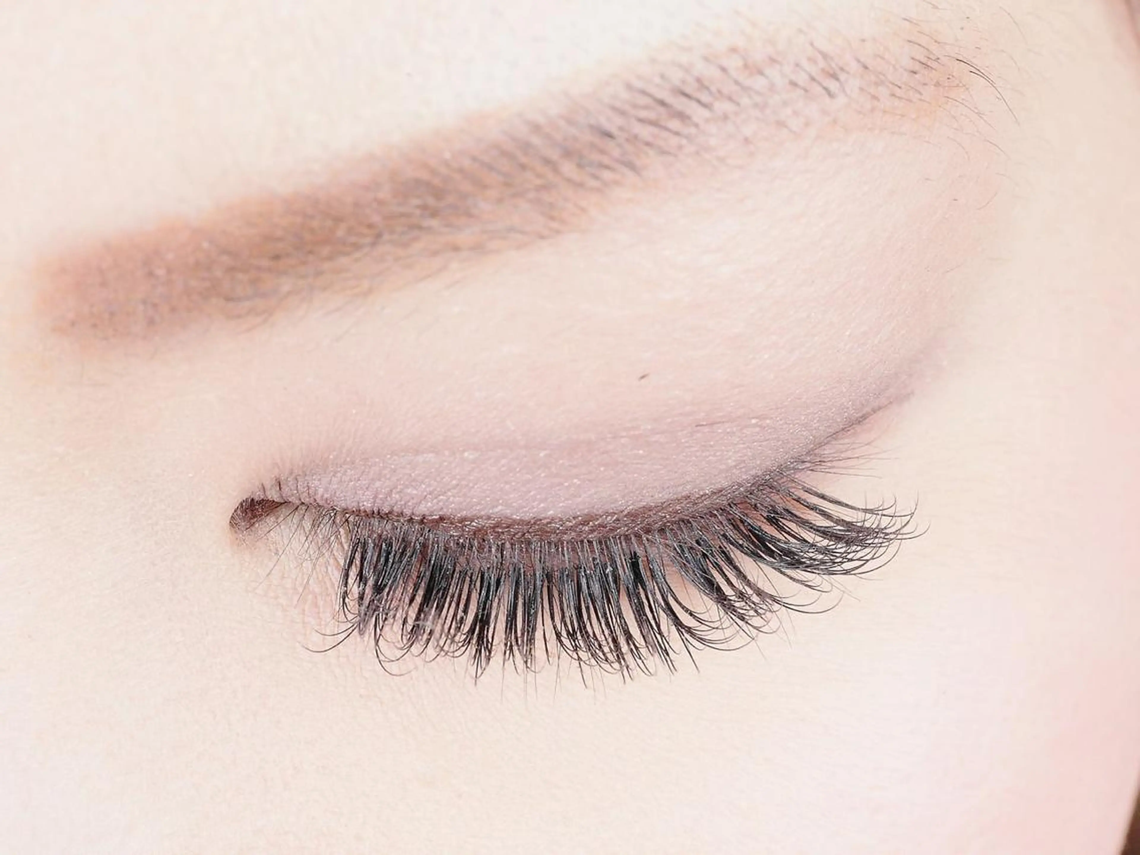 【ミニモ限定】バインドロック60束の写真