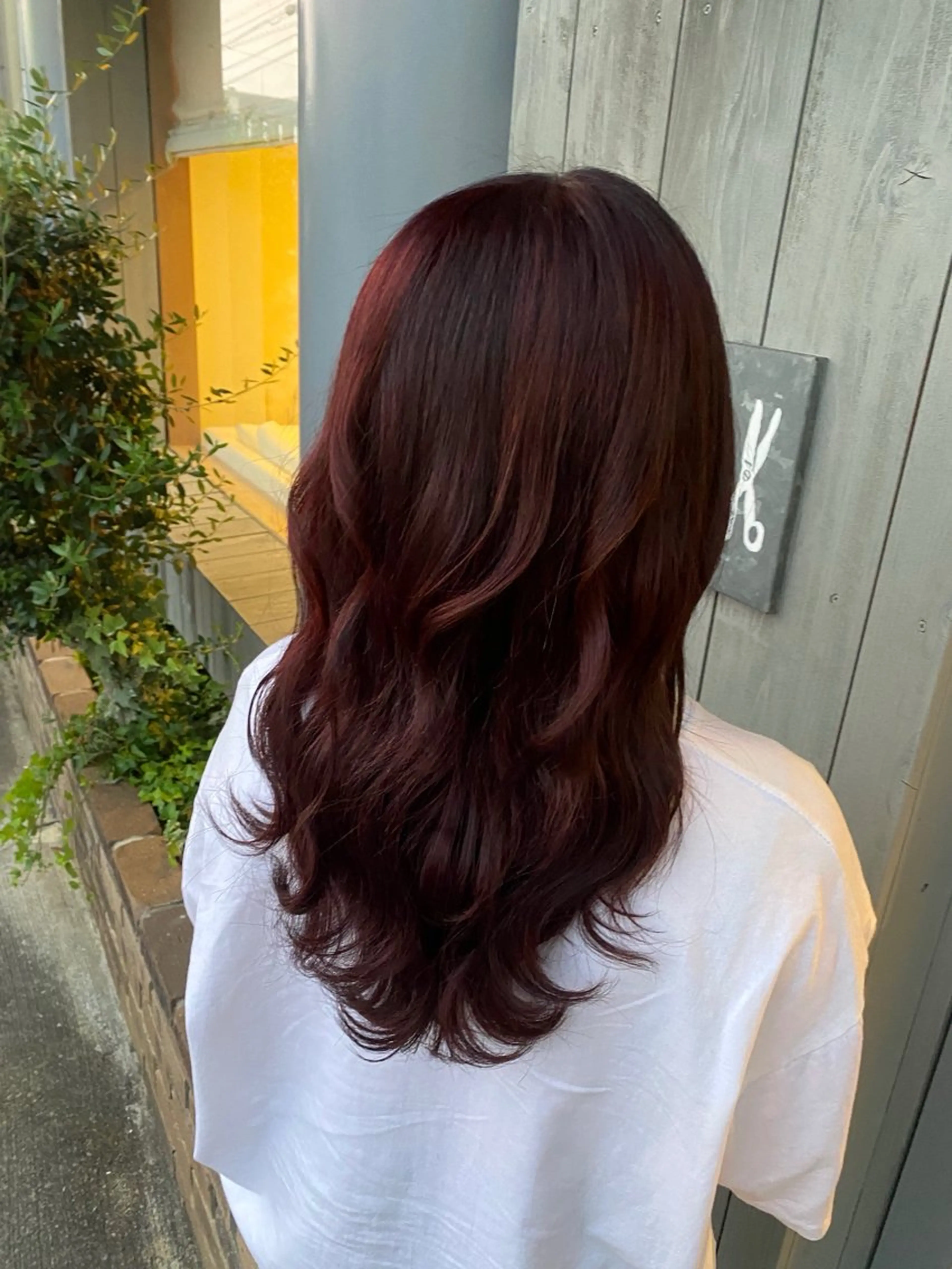 ミディアム カラー ボルドーカラー ヘアカラー Ludwig AIRIのヘアスタイル