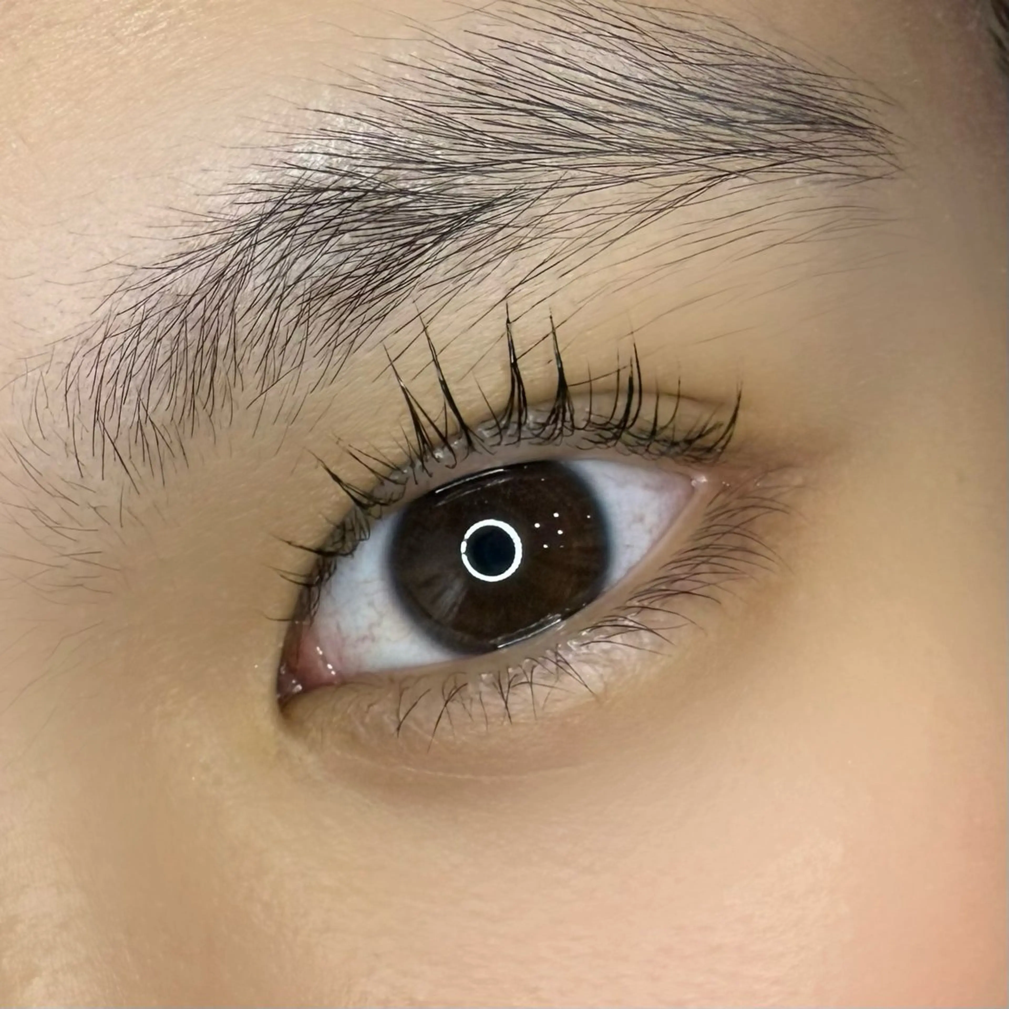 マツエク・マツパ ユ カの眉毛・アイブロウイメージ