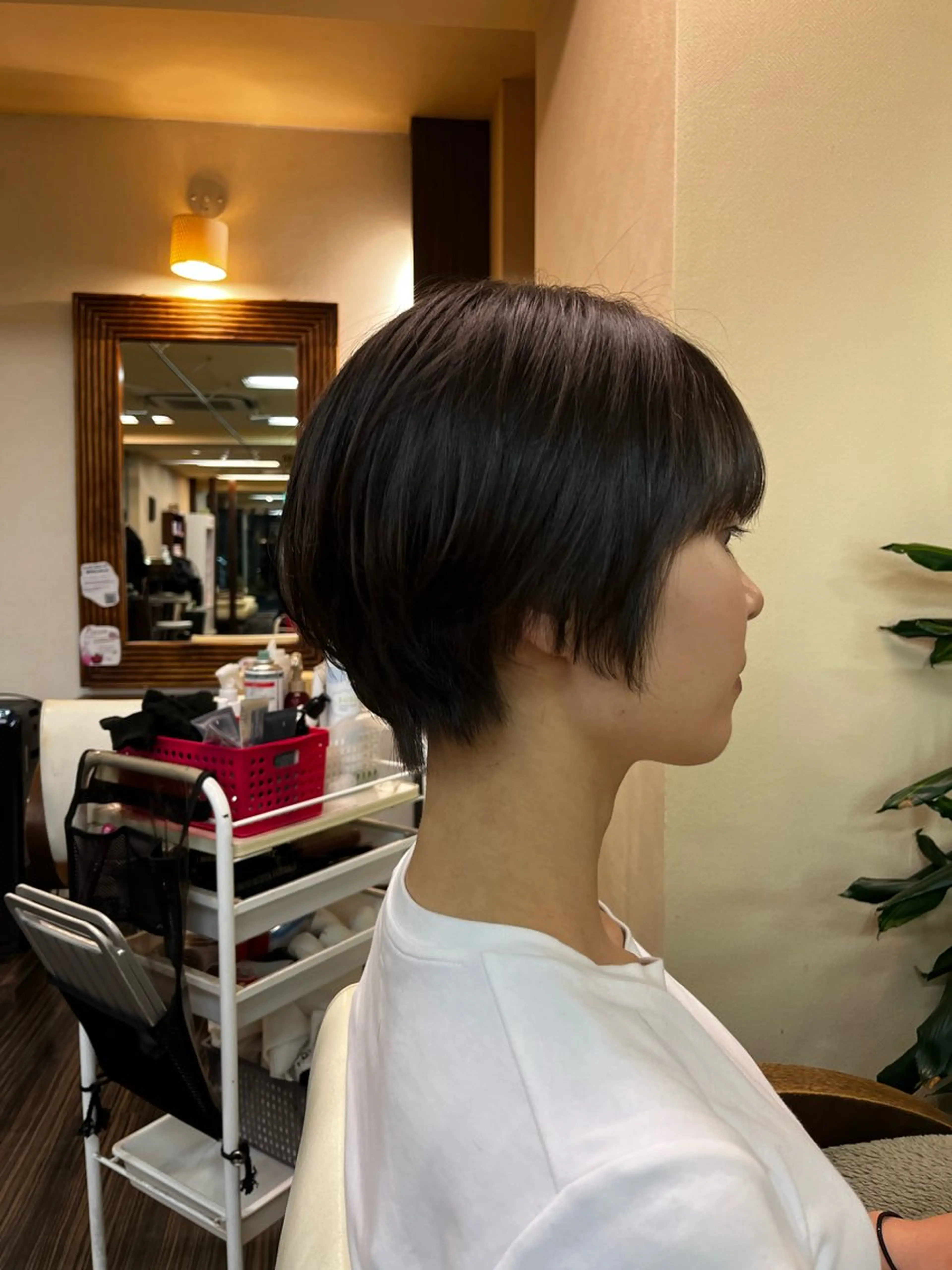 ショート 西形 梨瑚のヘアスタイル