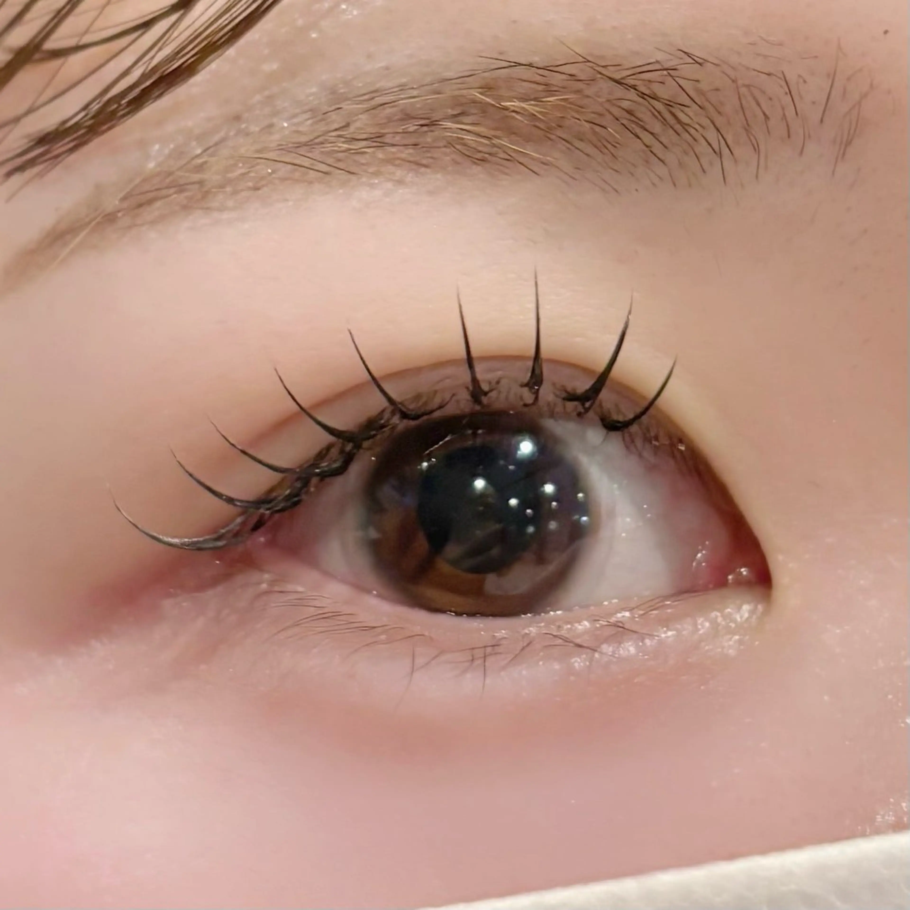 マツエク・マツパ 下まつげエクステ マツエク nixie ゆいのマツエク・マツパデザイン