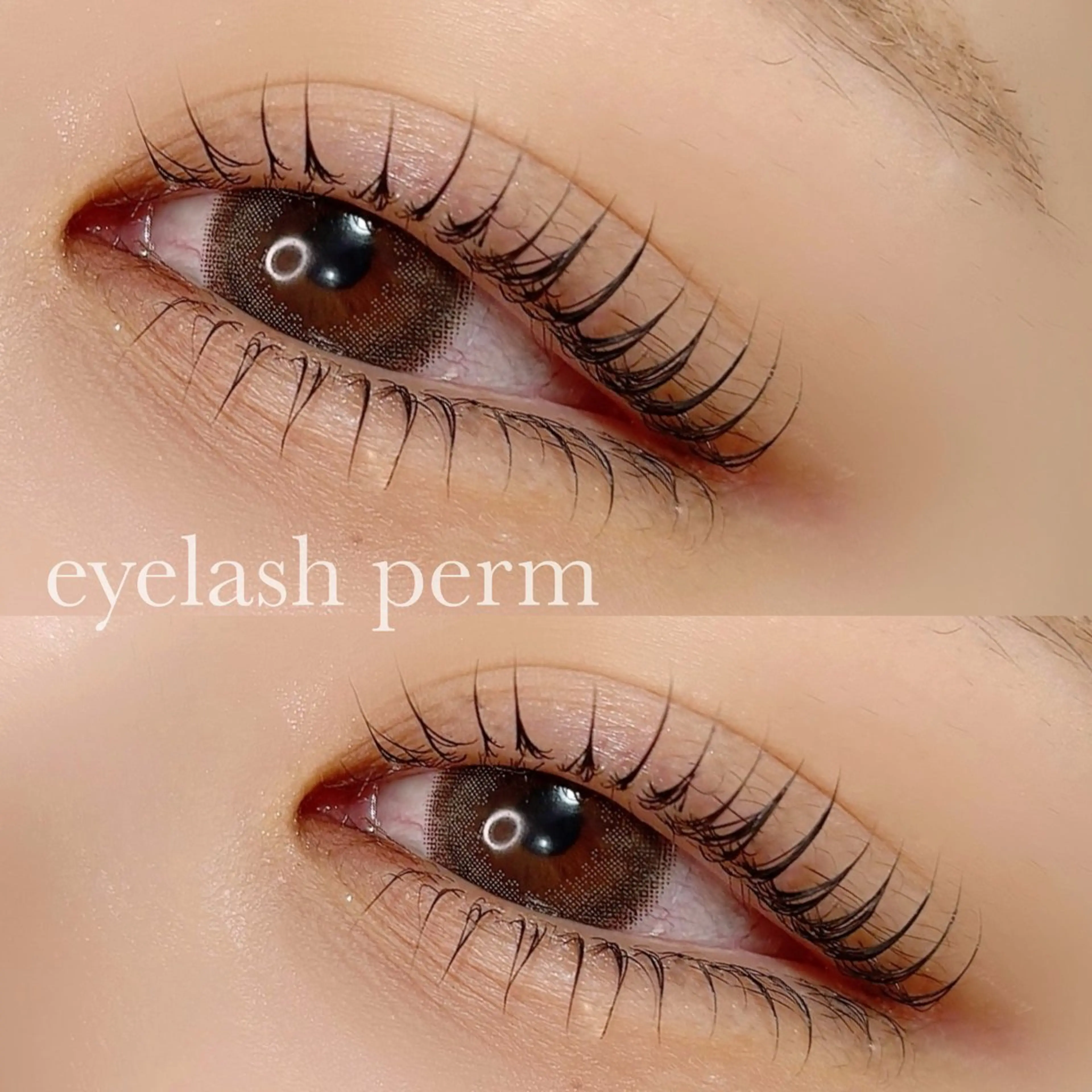 (ﾏﾂﾊﾟ)上下ラッシュリフトの写真