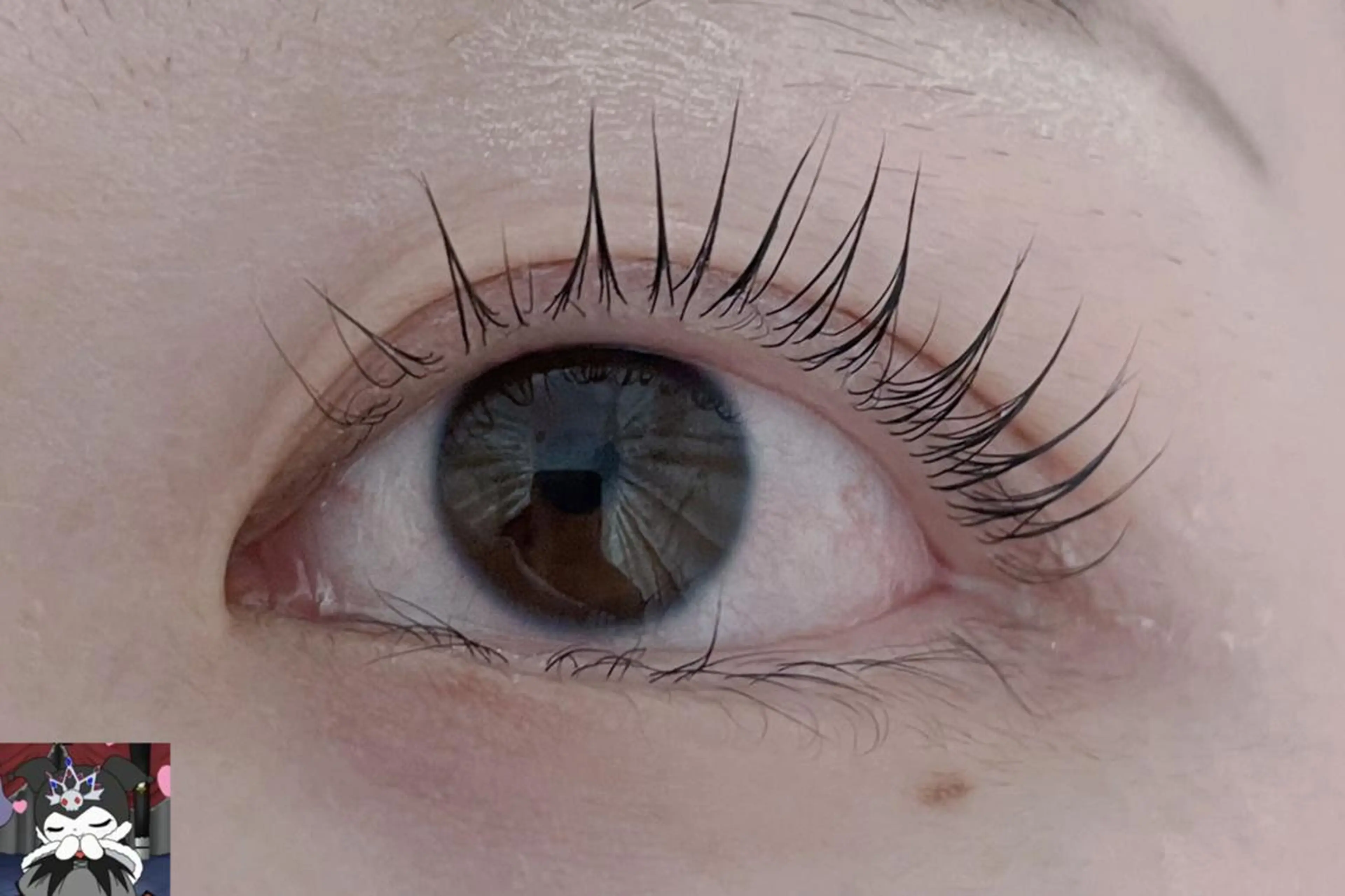 マツエク・マツパ モデル募集💖 by foiのマツエク・マツパデザイン