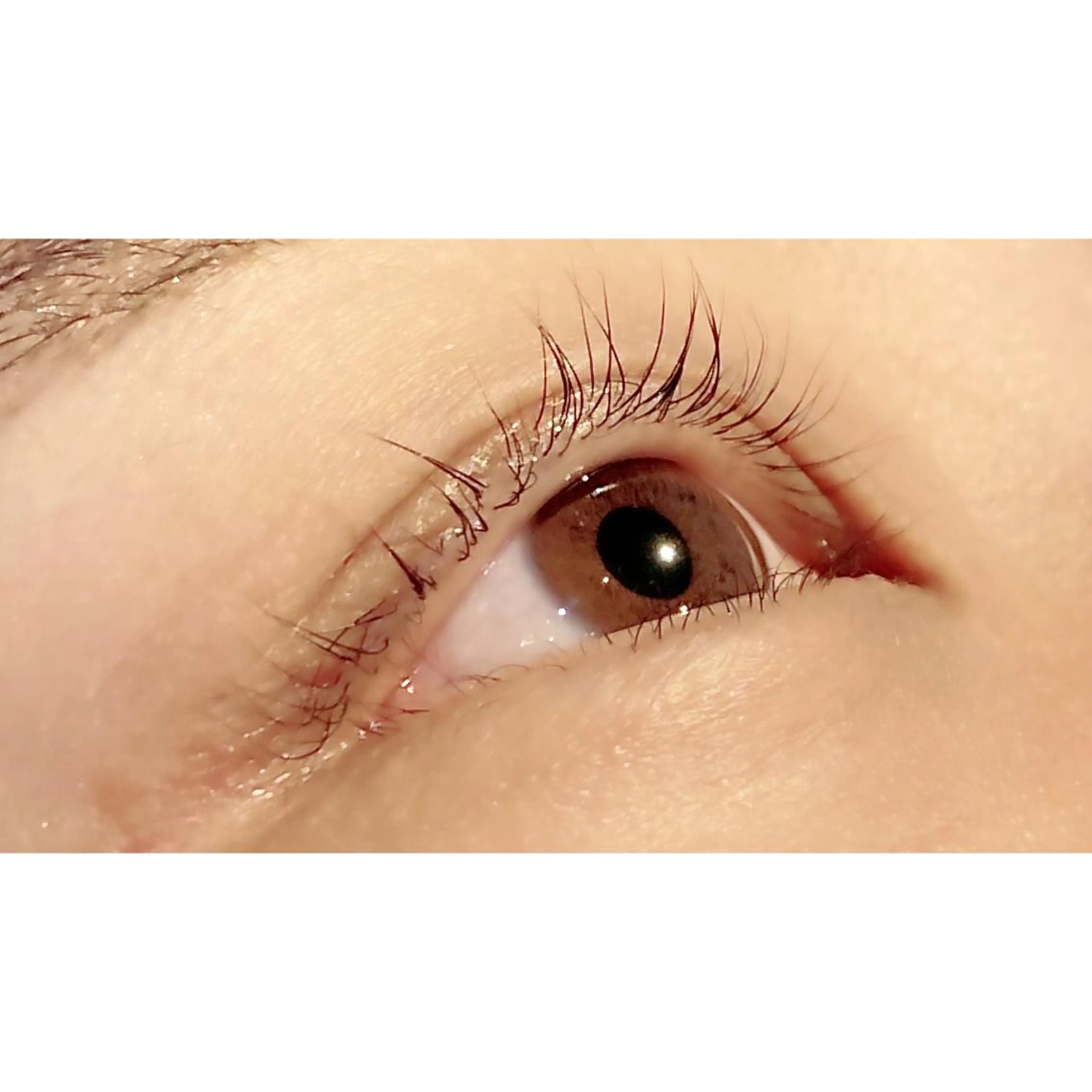 マツエク・マツパ パリジェンヌラッシュリフト Bianca 長津田店　長牛の眉毛・アイブロウイメージ