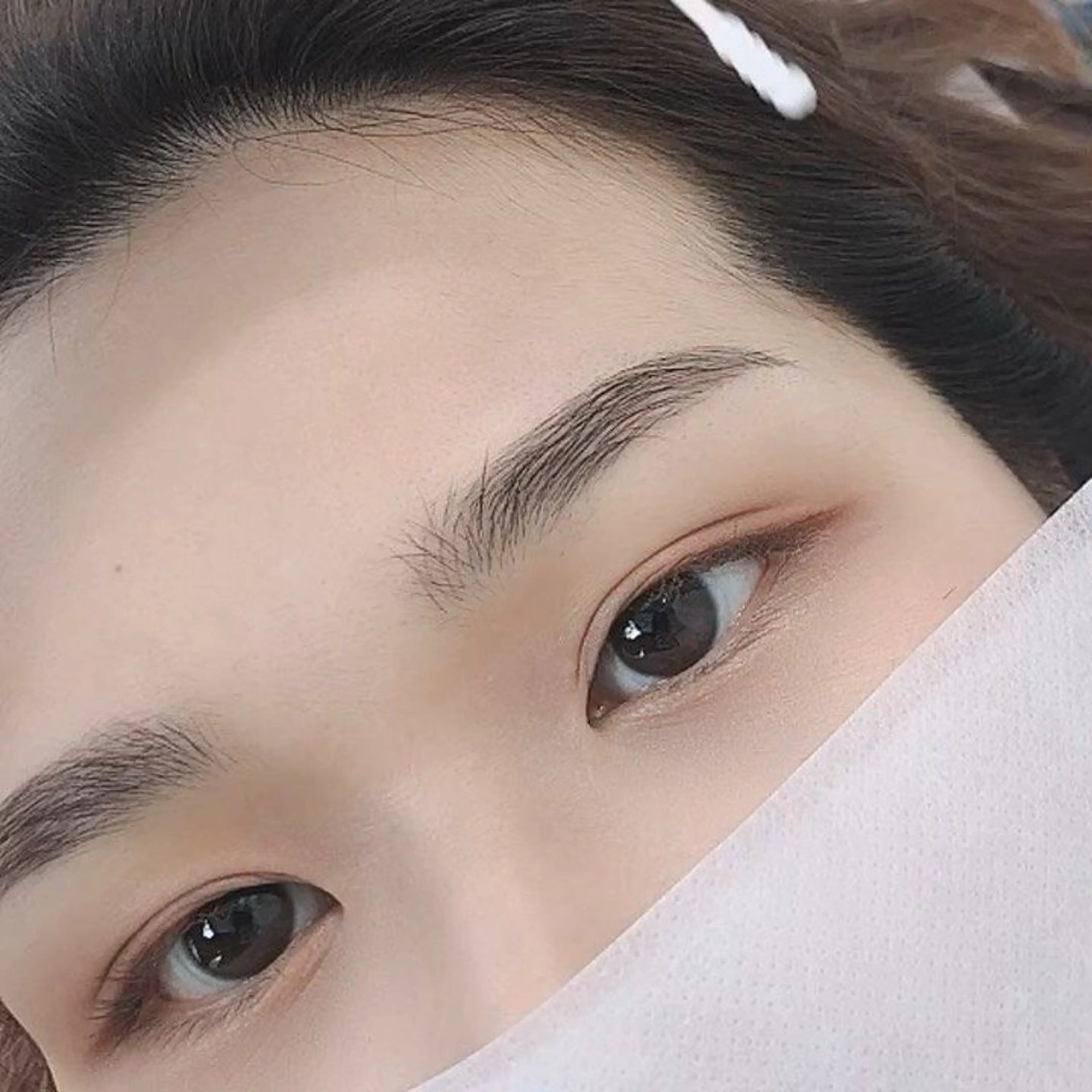 アイブロウ 千代澤 樹春のヘアスタイル