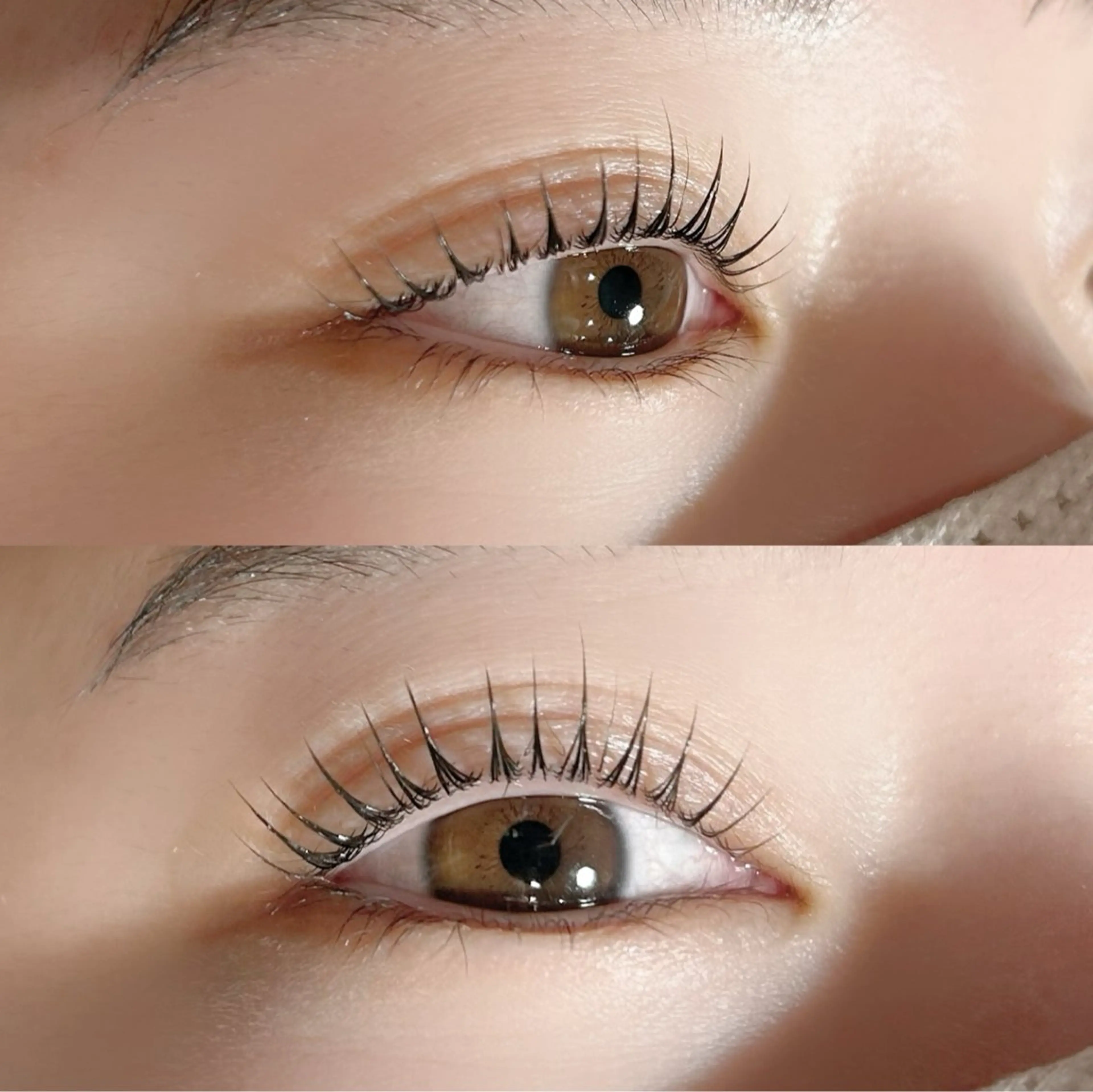 【韓国で大人気🇰🇷】マスカラパーマ🐈‍⬛の写真