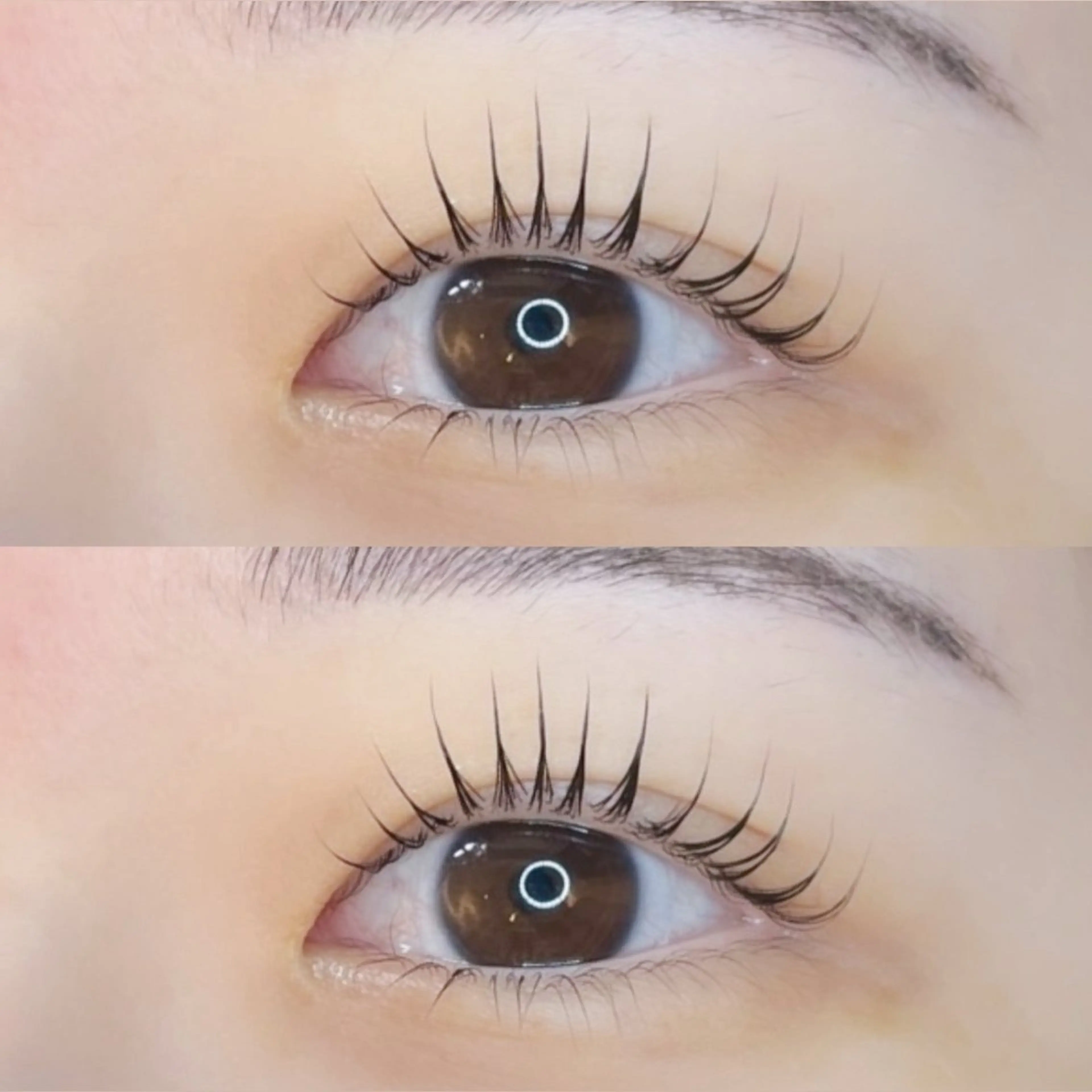 マツエク・マツパ バインドロック 韓国風マツエク パリジェンヌラッシュリフト まつげパーマ 下まつげエクステ マツパ fein. mizuki🌙のマツエク・マツパデザイン