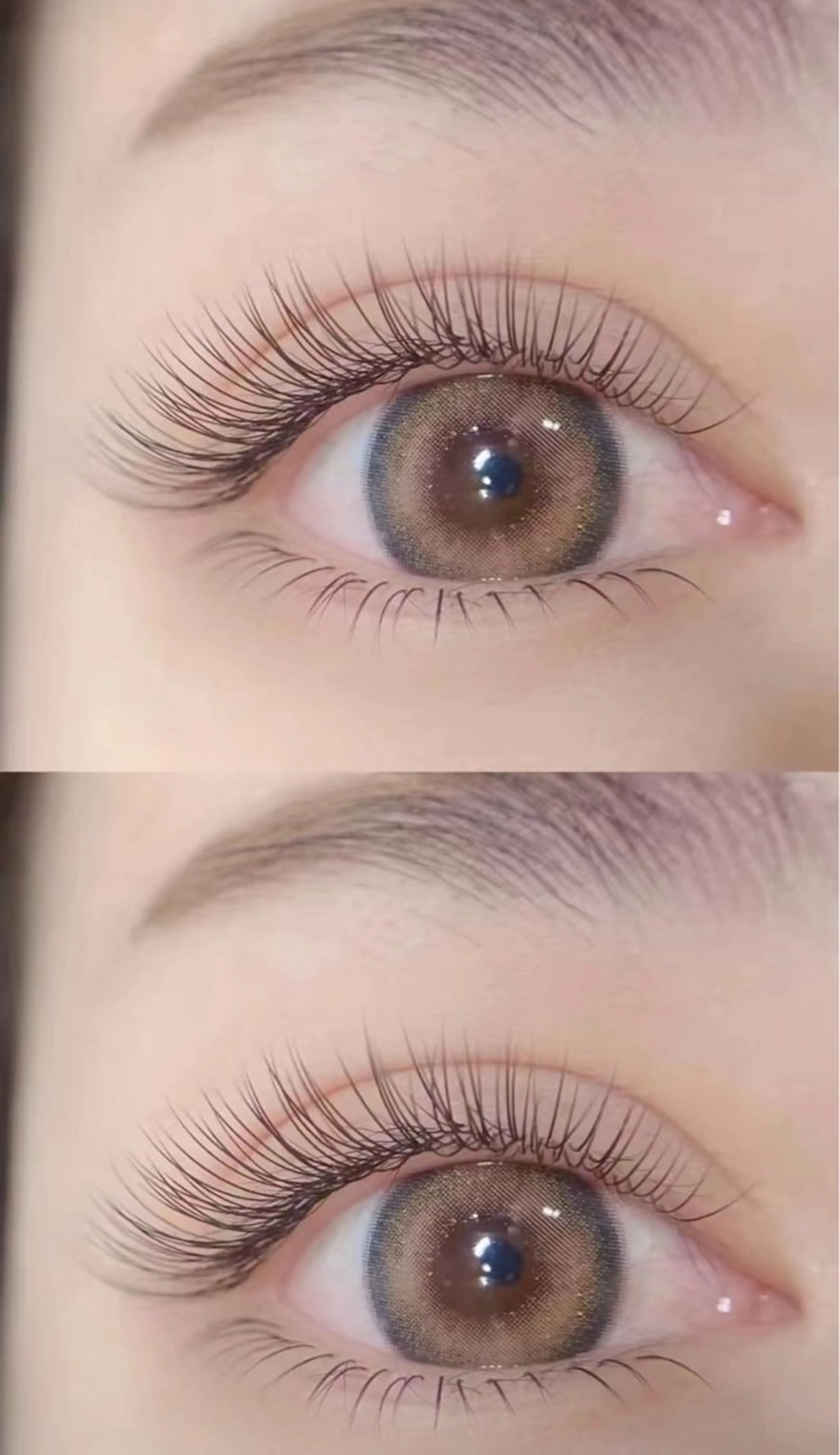 【🌸キャンペーン🌸】フラットラッシュ🌾100本2500の写真