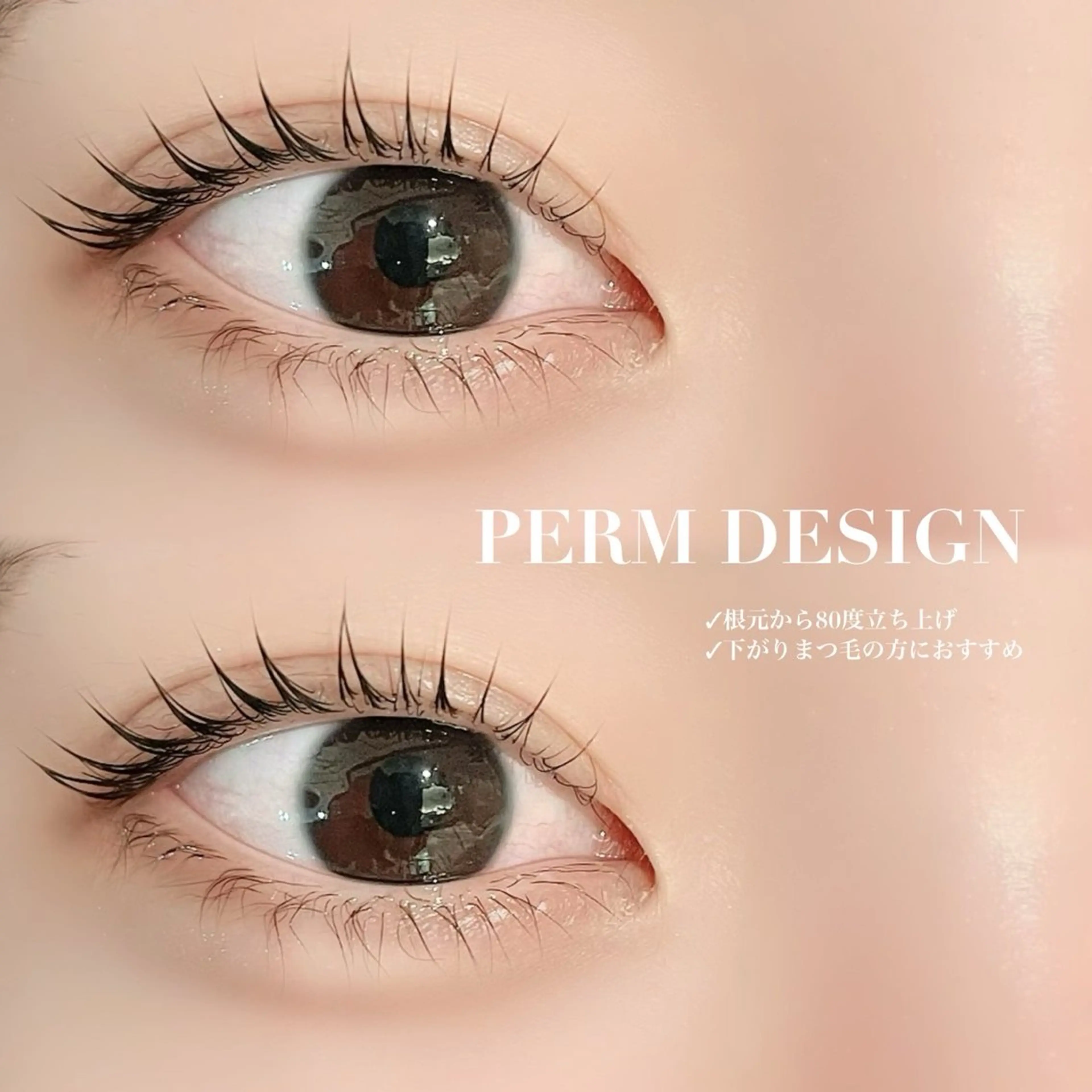 【4/13限定❕】🩷ྀིパリジェンヌラッシュリフトorまつげパーマ🫧の写真