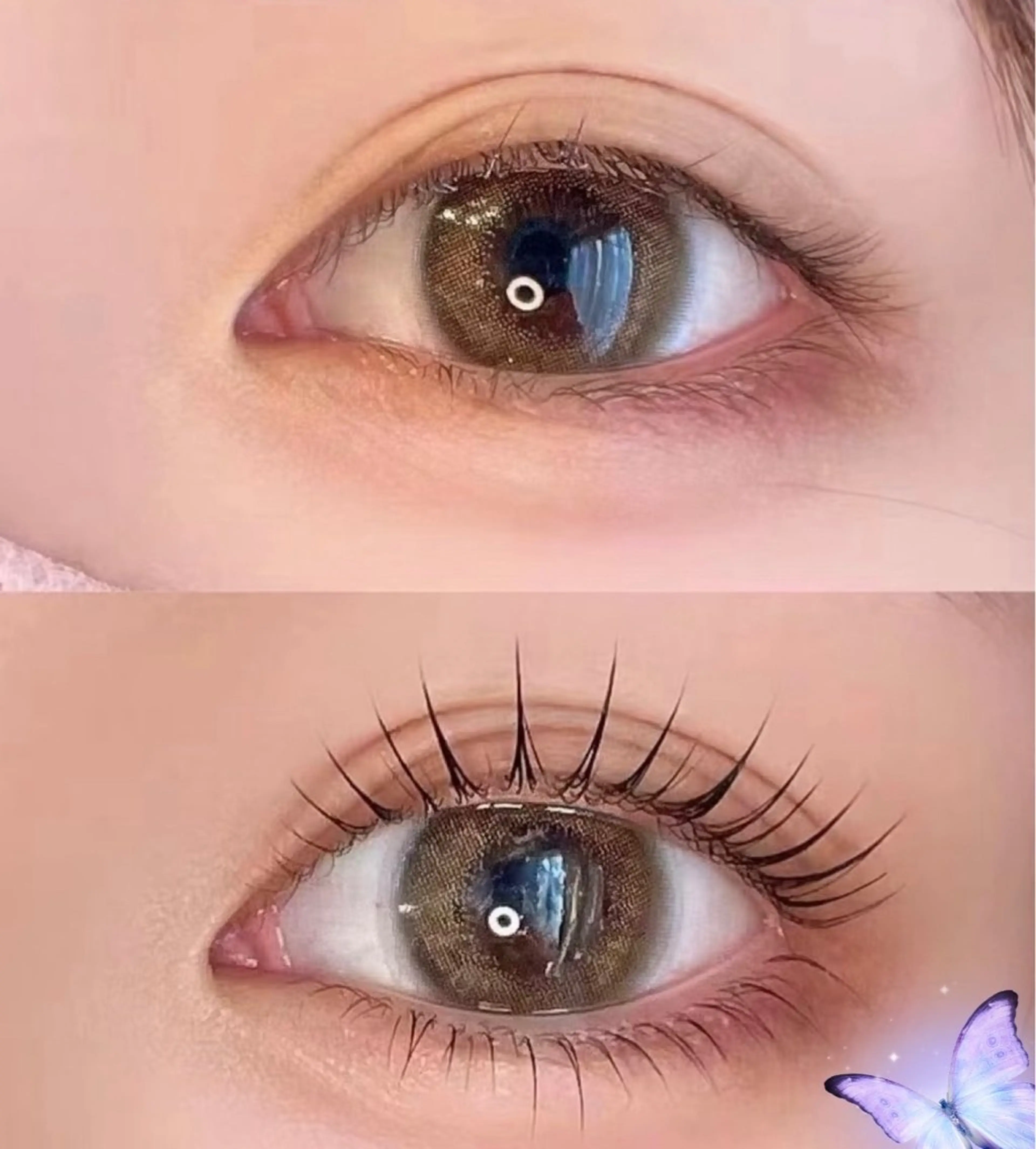 韓国🇰🇷うるうる束間まつげパーマ ➕ コーティング🧚♂️の写真