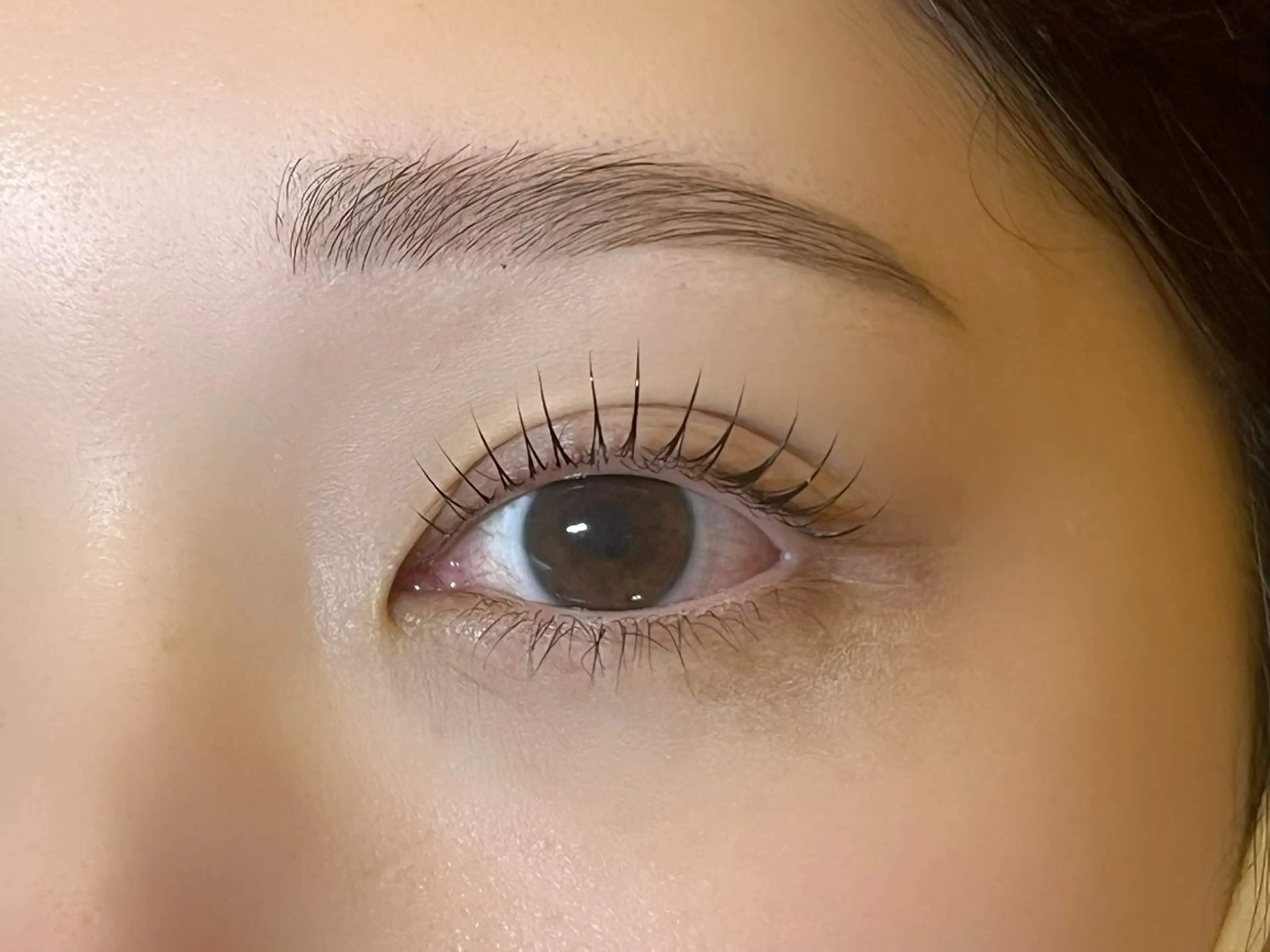 まつげパーマ+眉毛Wax໒꒱(間引き追加+300円)の写真