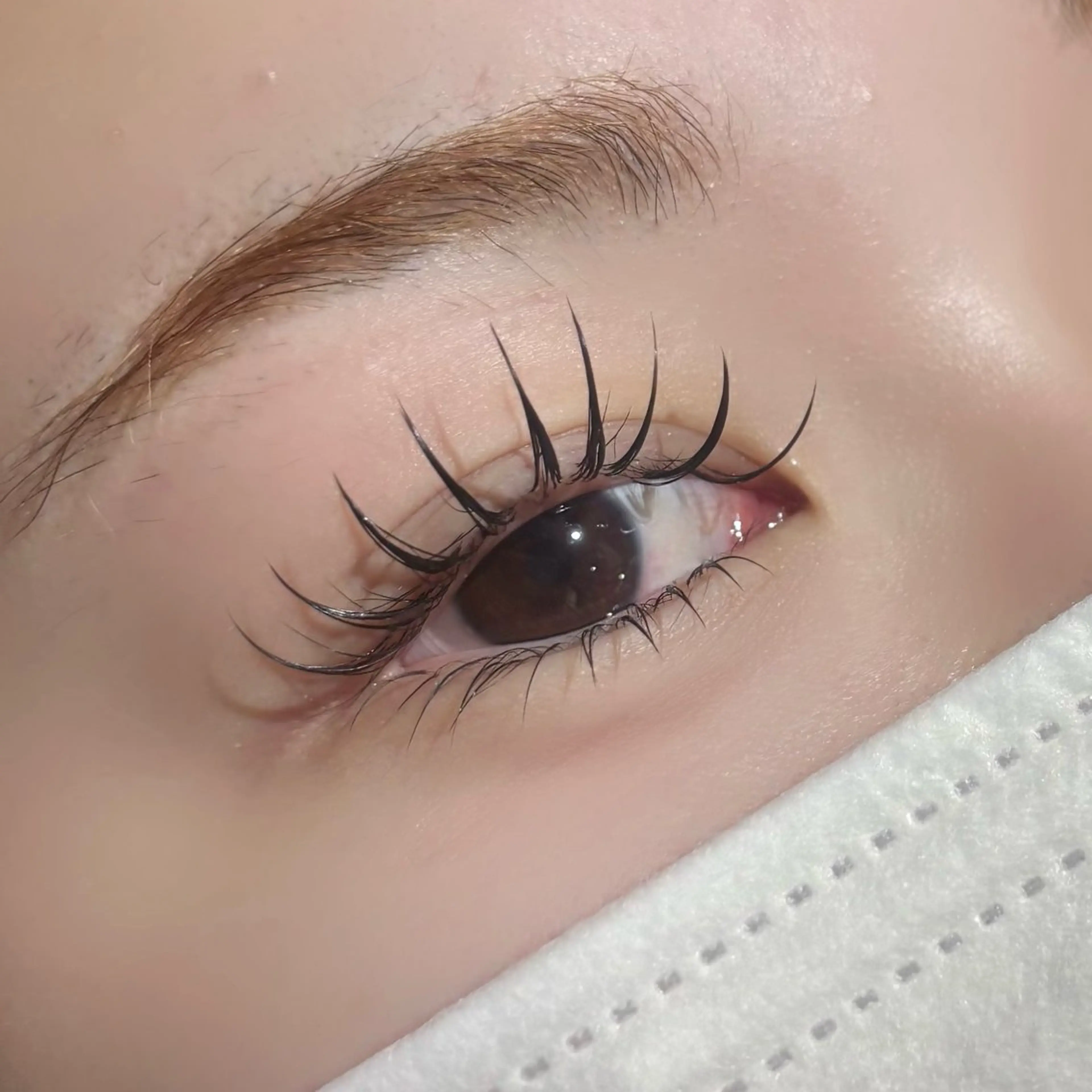 ダブルフラットラッシュ60束の写真