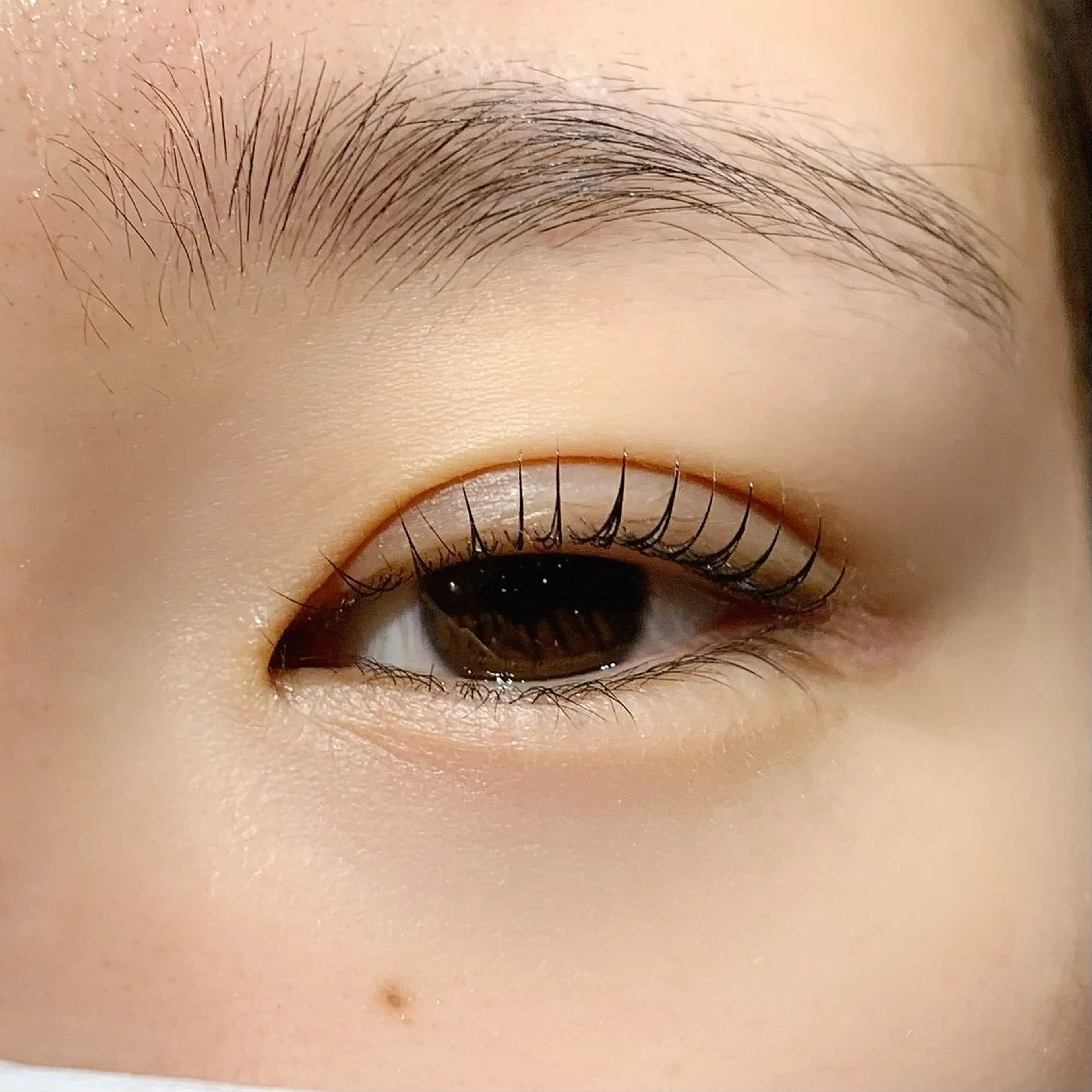 マツエク・マツパ alushe🌼 HIME🌼のマツエク・マツパデザイン