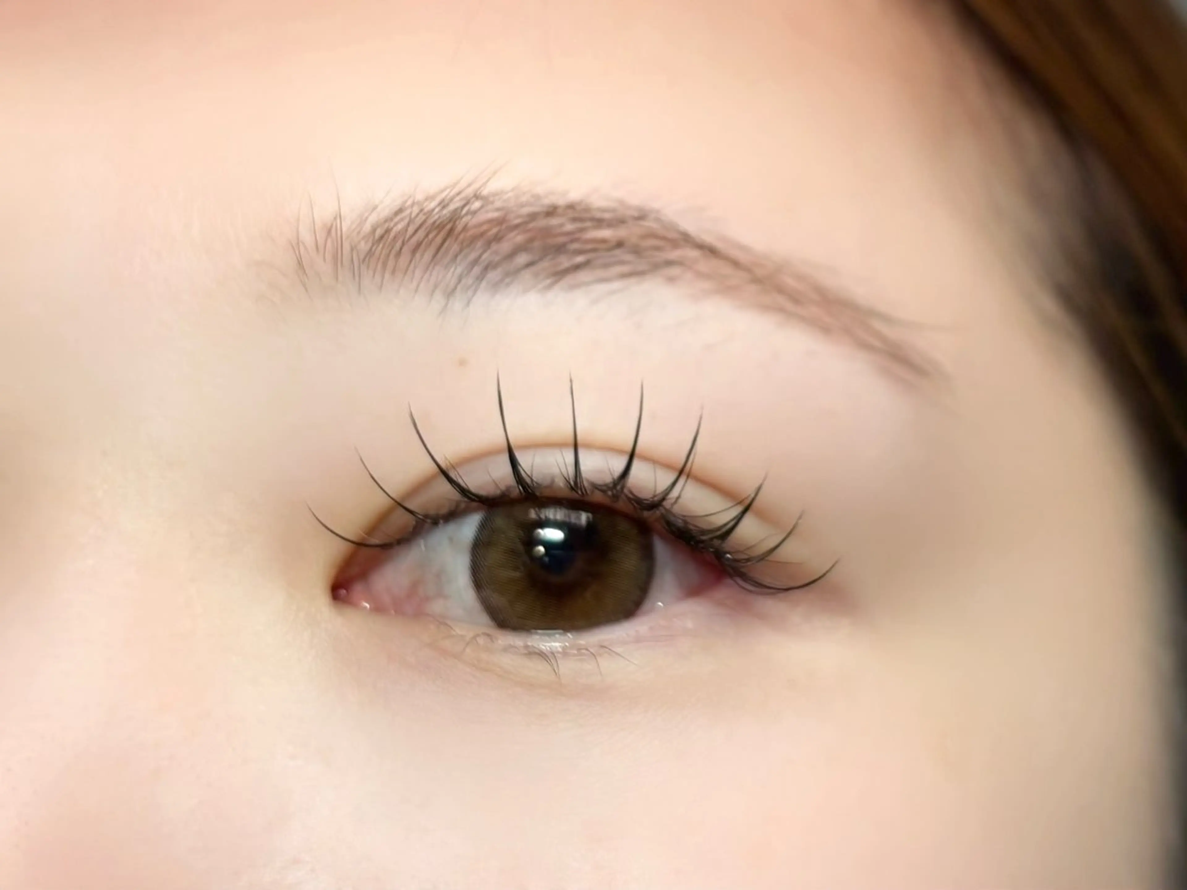 🌿フラットラッシュ120本(オフ込)の写真