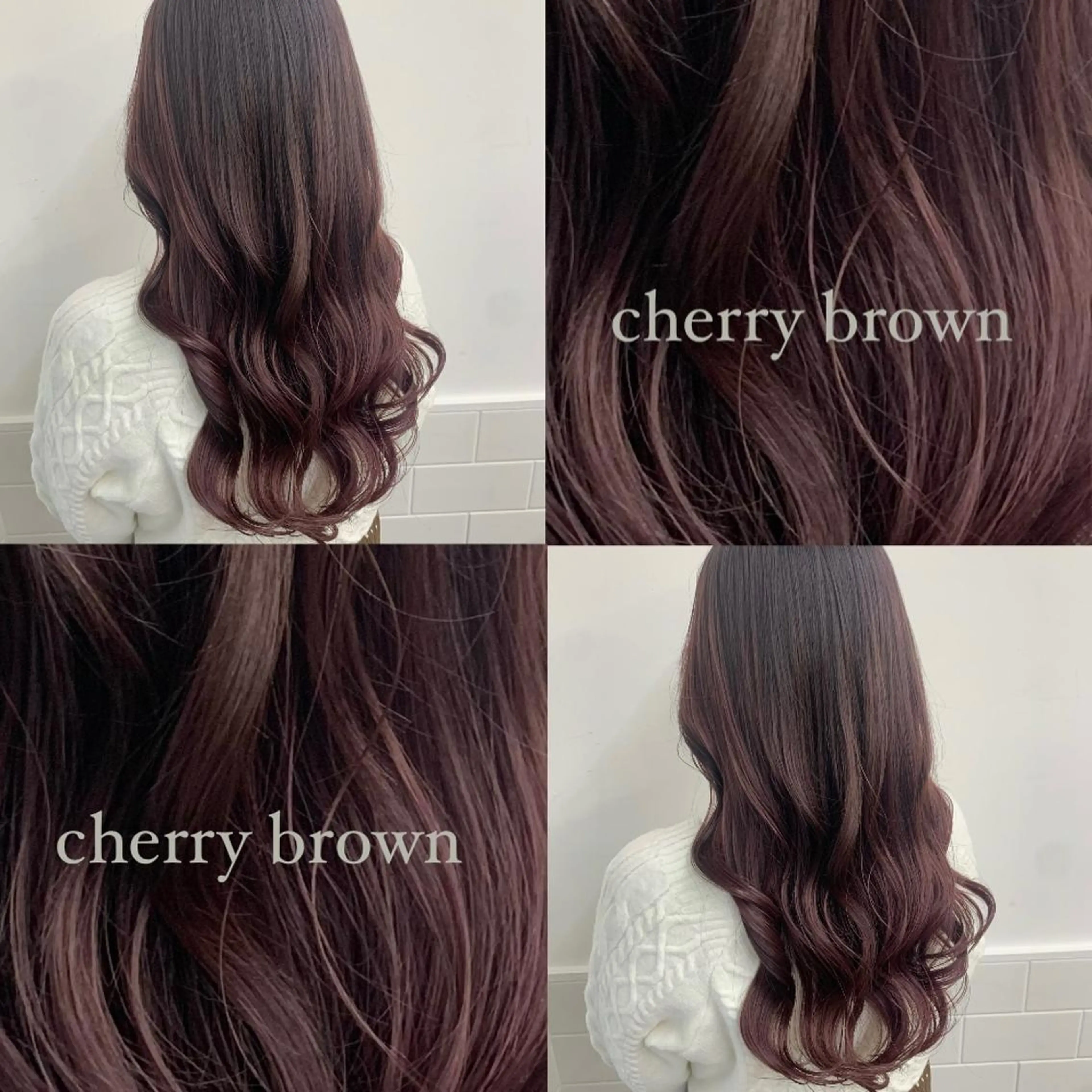 メニューにお悩みの方はこちら💁🏻♀️ 🌸ワンカラー+クイックトリートメント🌸の写真