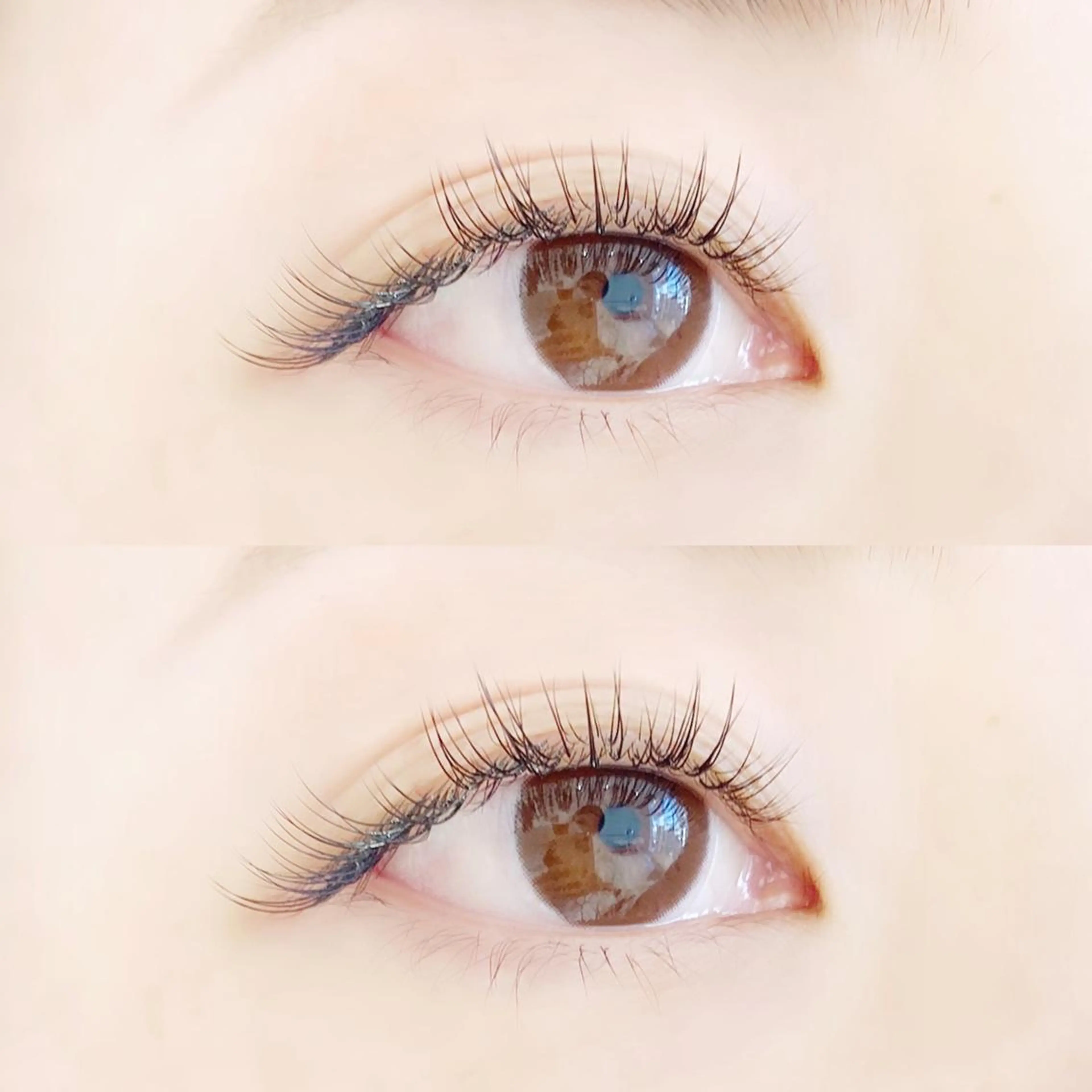 マツエク・マツパ マツエク eyelash "Koa"🕊🤎のマツエク・マツパデザイン