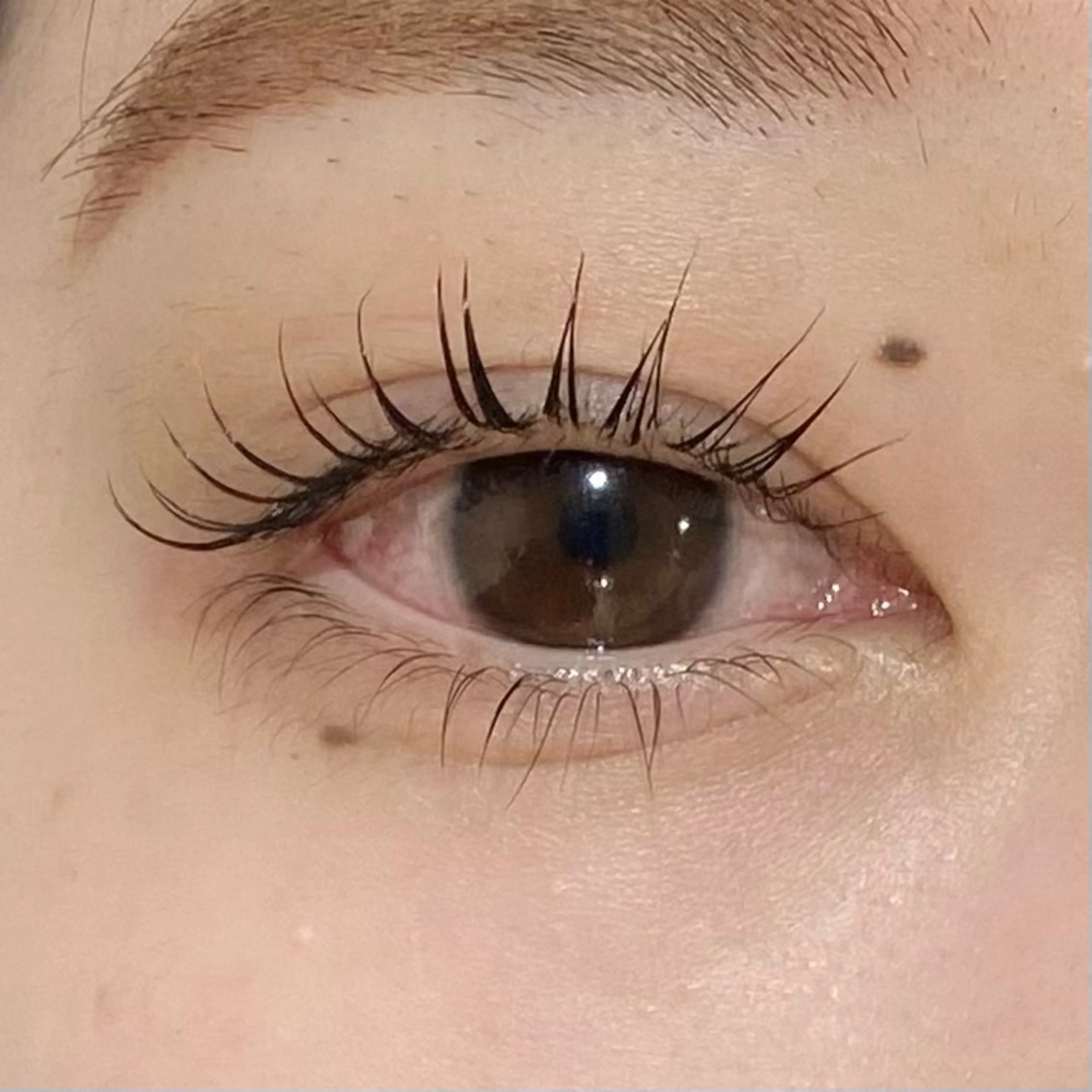 【ご新規様限定🌷】まつ毛パーマ👀✨（上下）の写真