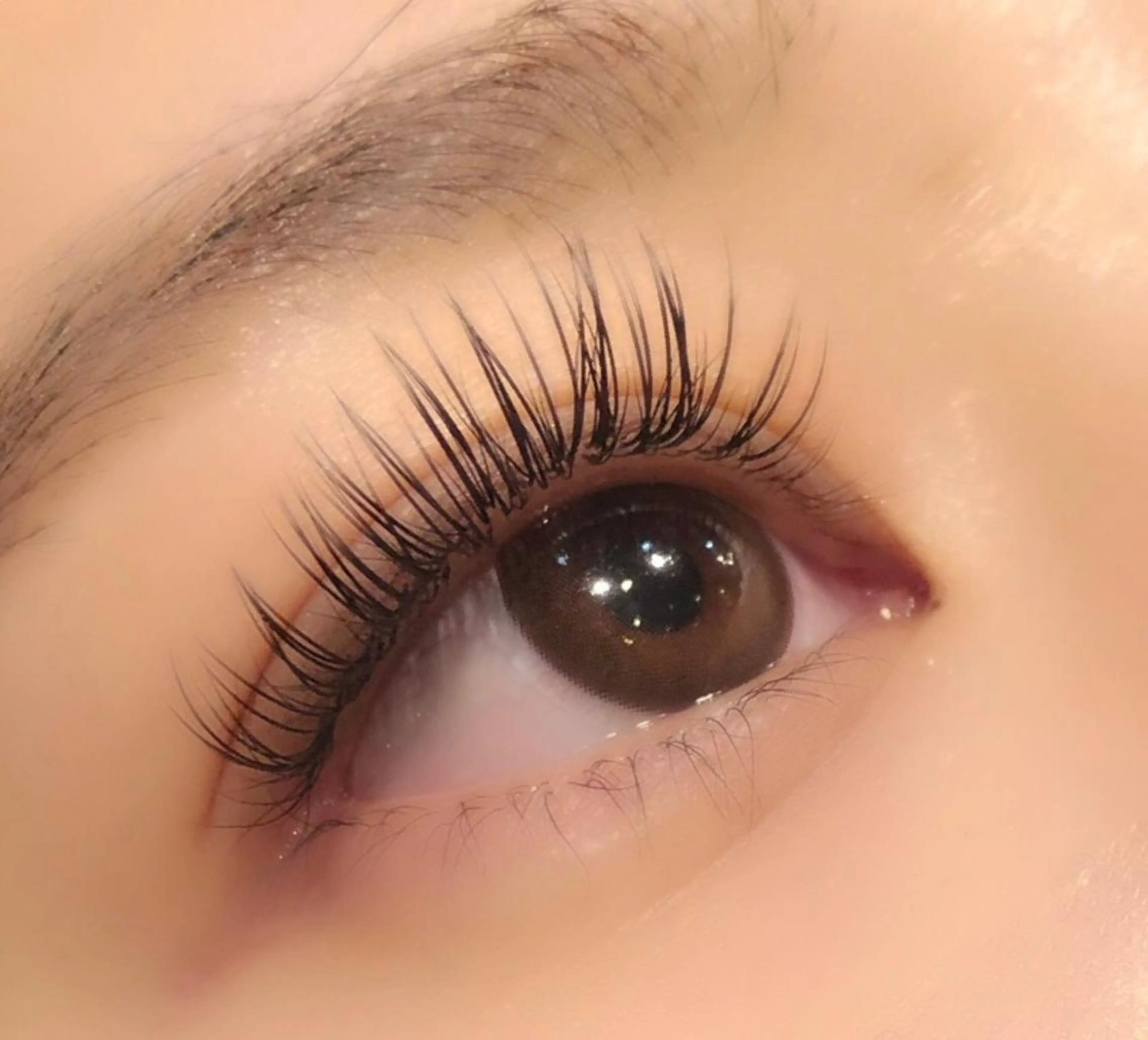 (平日)フラットラッシュ付け放題　新規¥7500/再来¥8500の写真