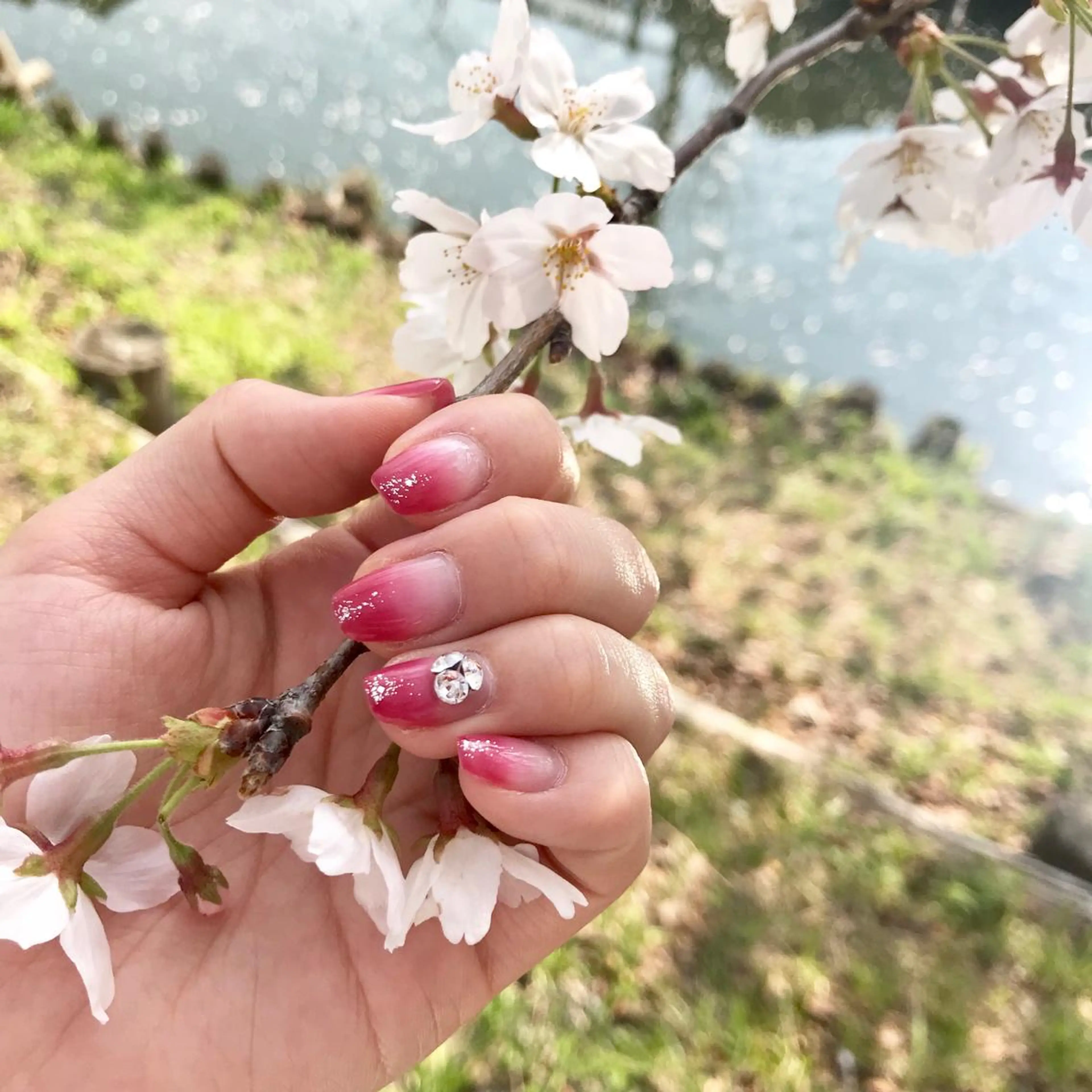 ネイル M's nail所属・M's nail ..高幡不動のネイルデザイン