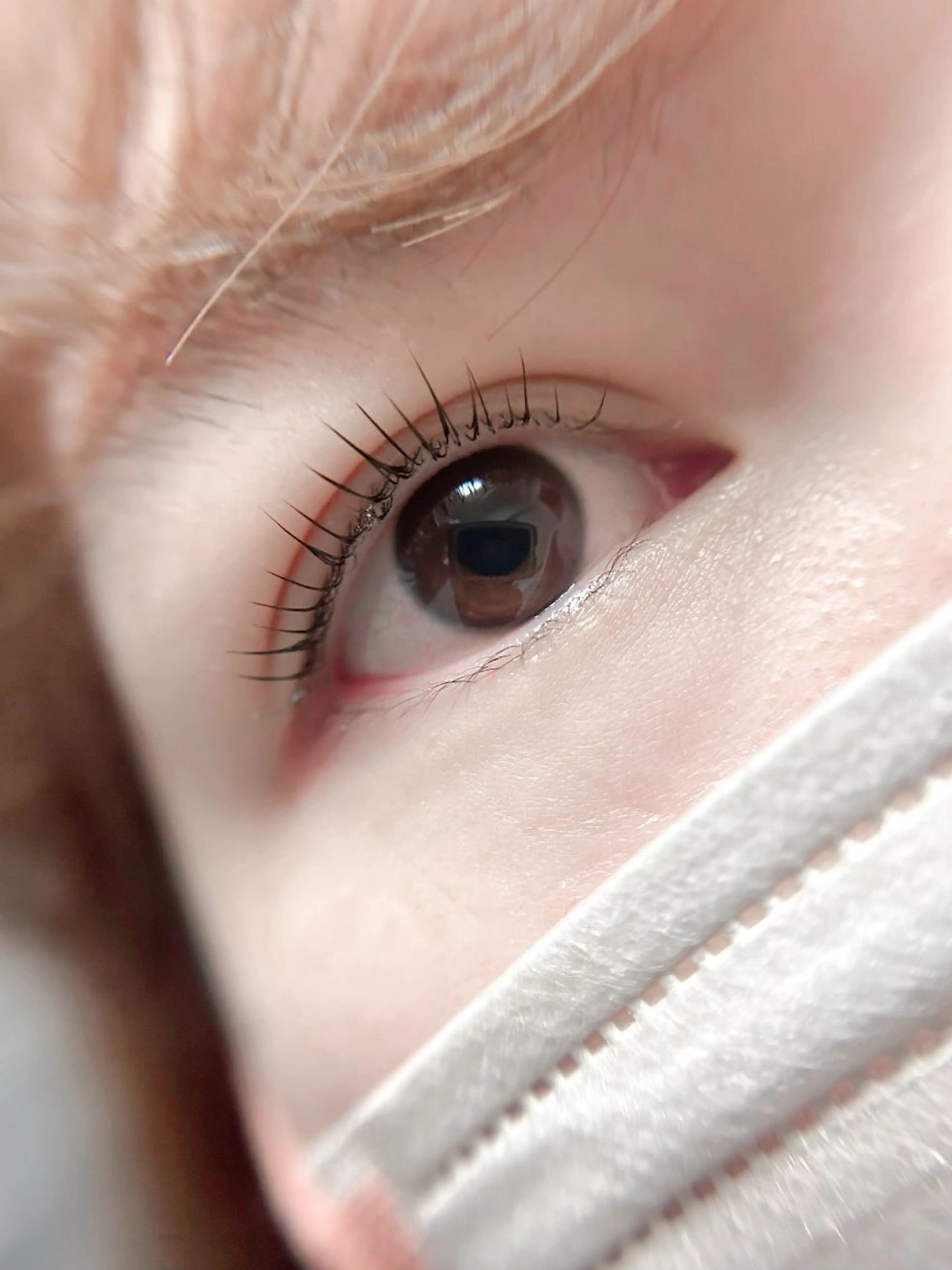 ミニモ限定❣️ご新規様20%オフ！上まつ毛パーマの写真