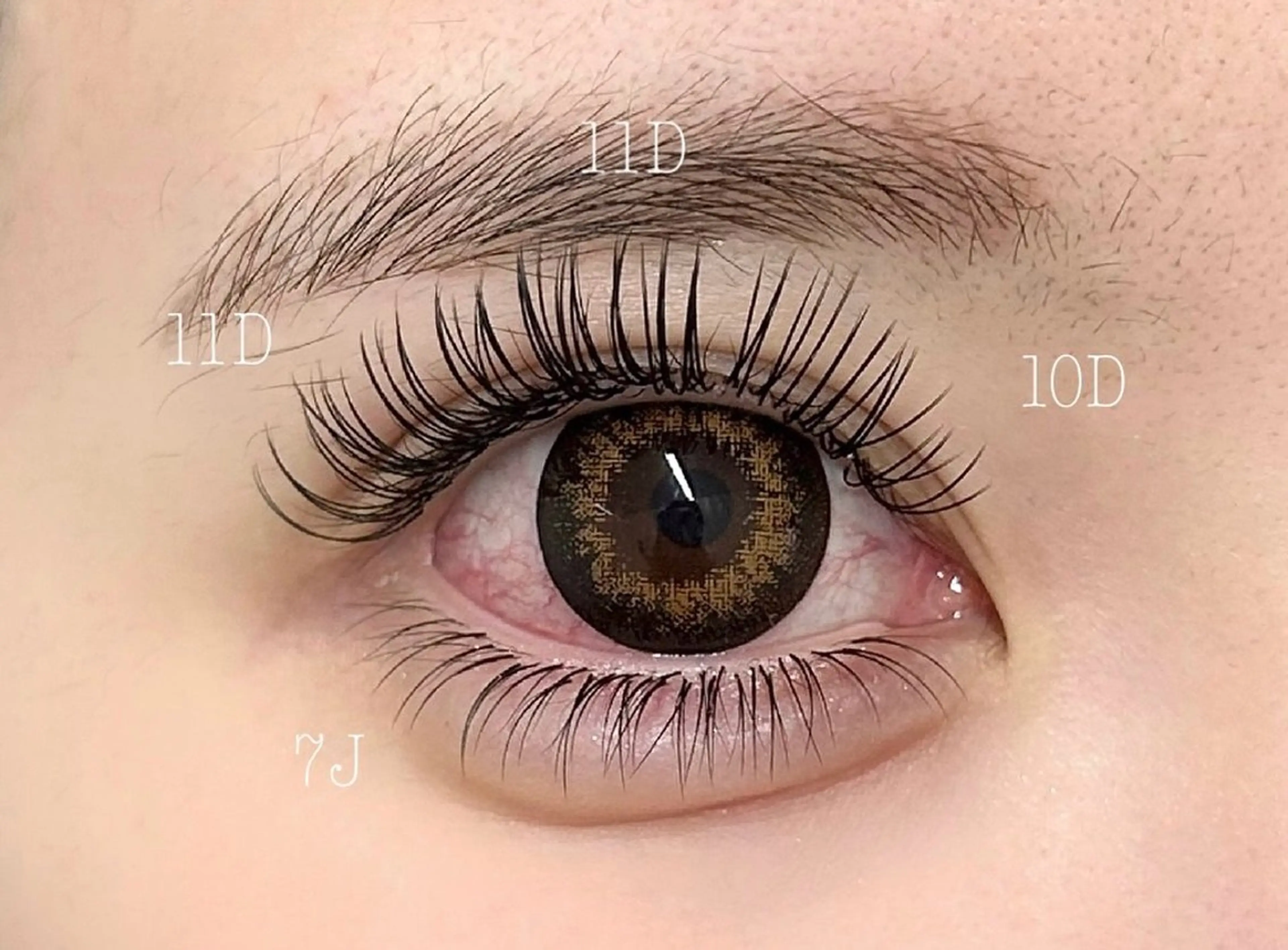 💕フラットラッシュ✨️上下つけ放題(LED+1000円)(Lカール/LDカール+500円)の写真