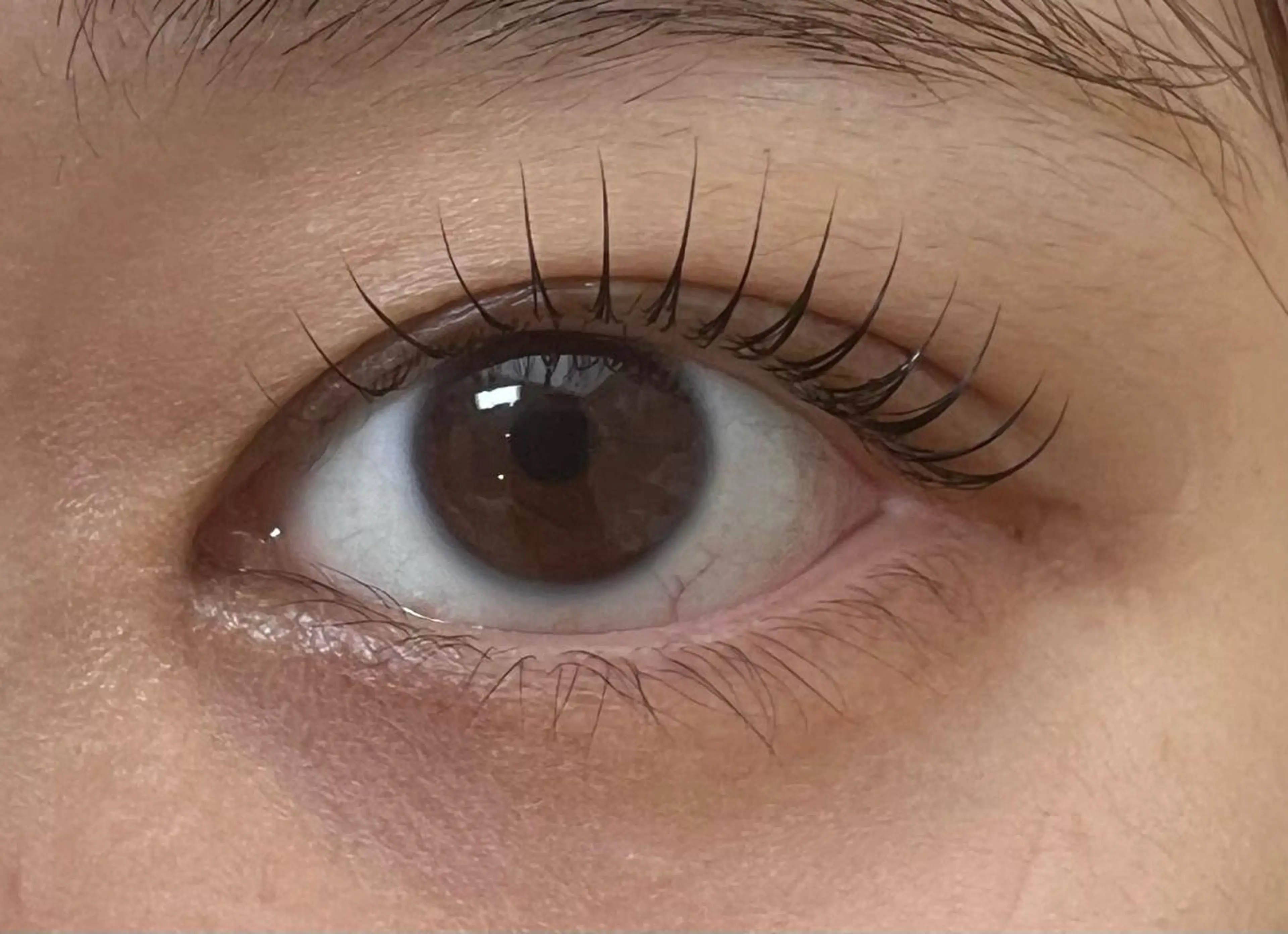 マツエク・マツパ anela shioriのマツエク・マツパデザイン