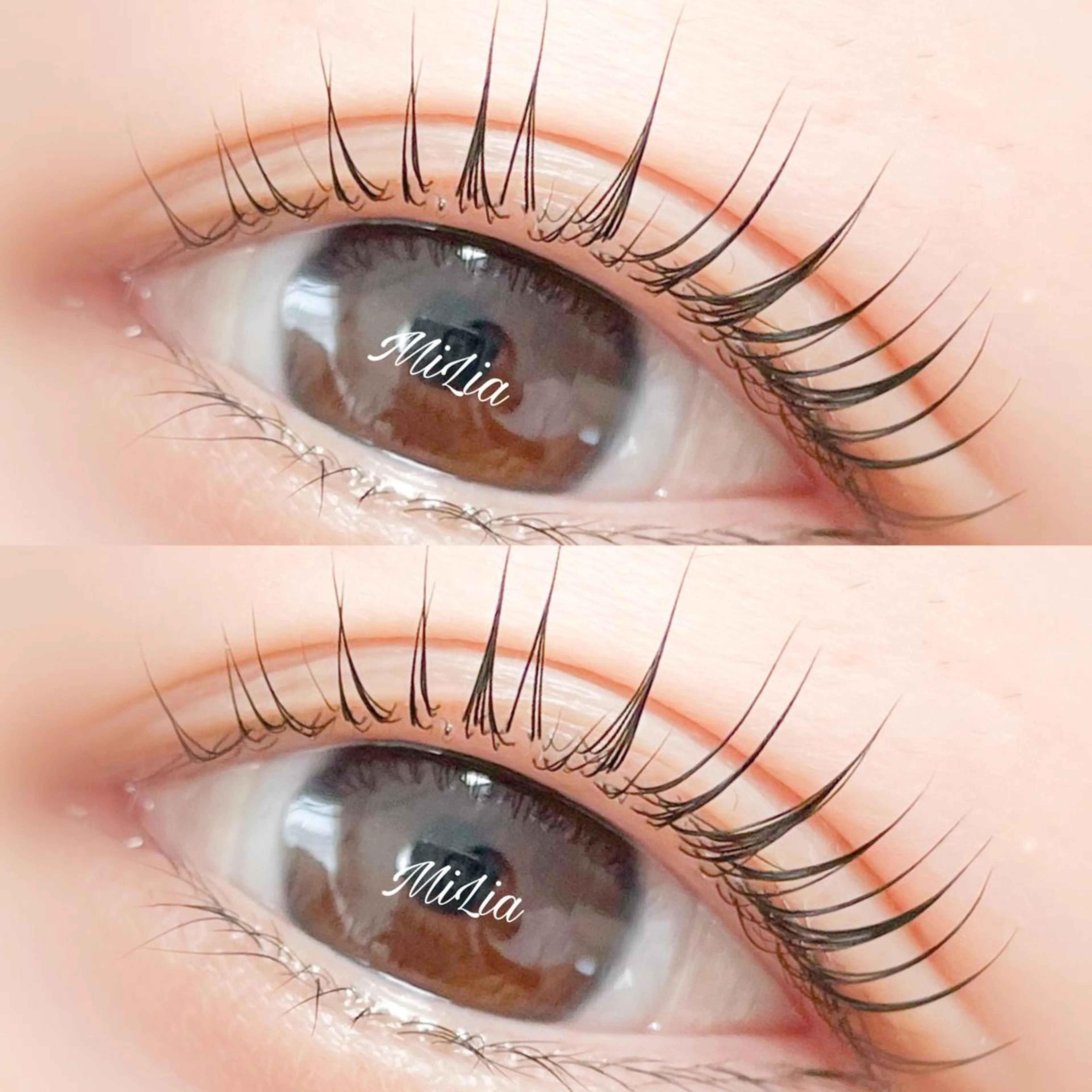 マツエク・マツパ . MiLiaのマツエク・マツパデザイン