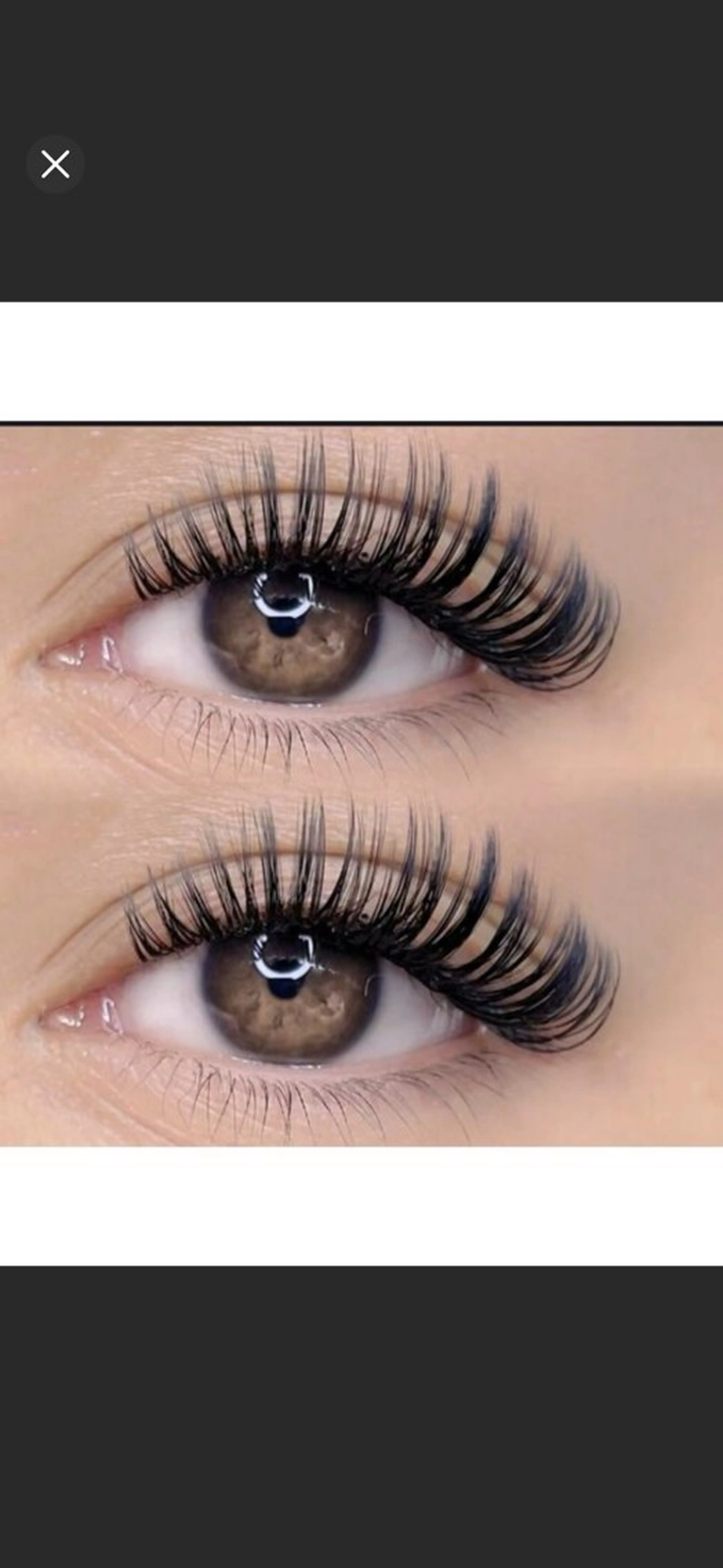 バインドロック120束L E D無料の写真