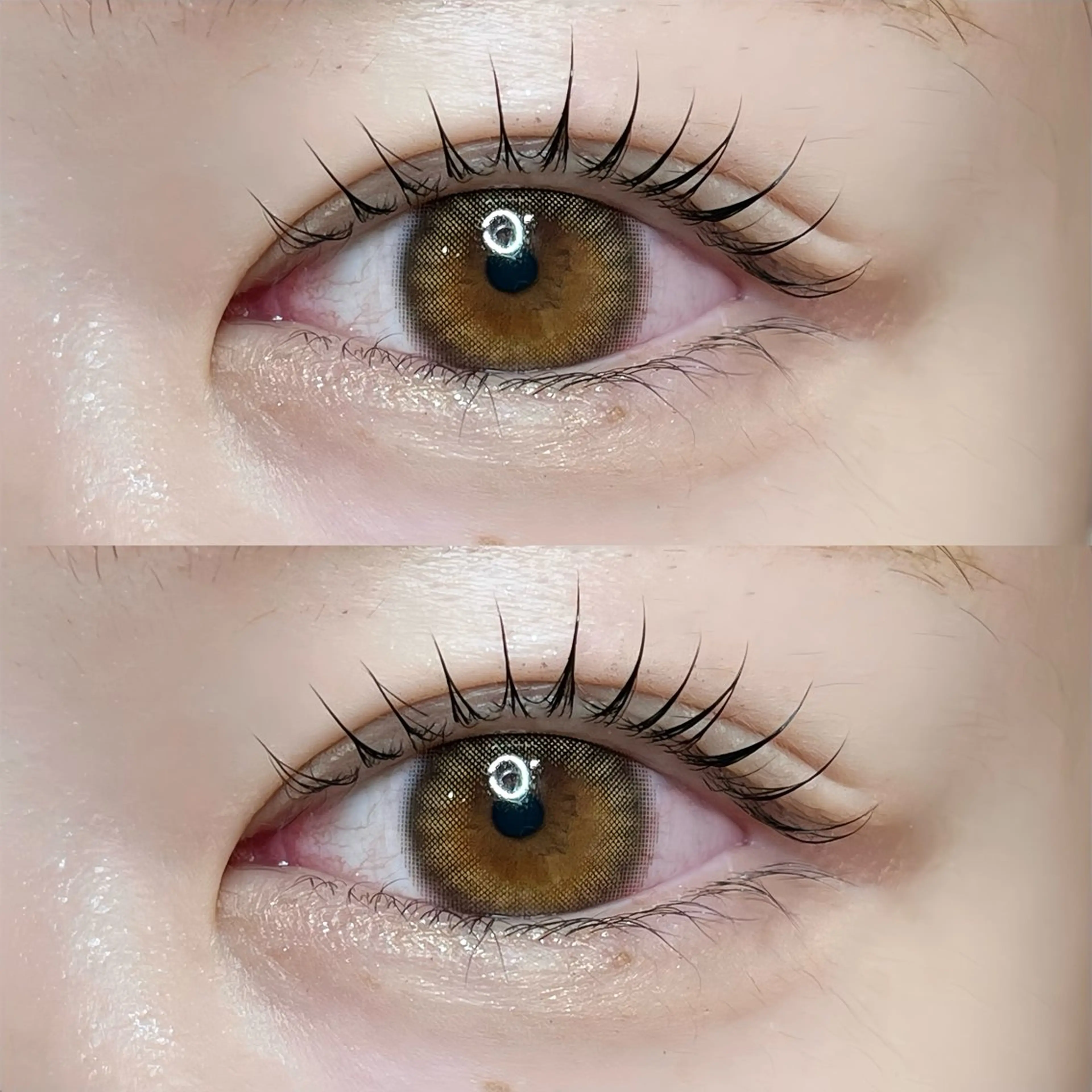 【オフあり】グレースパーマ🪽の写真