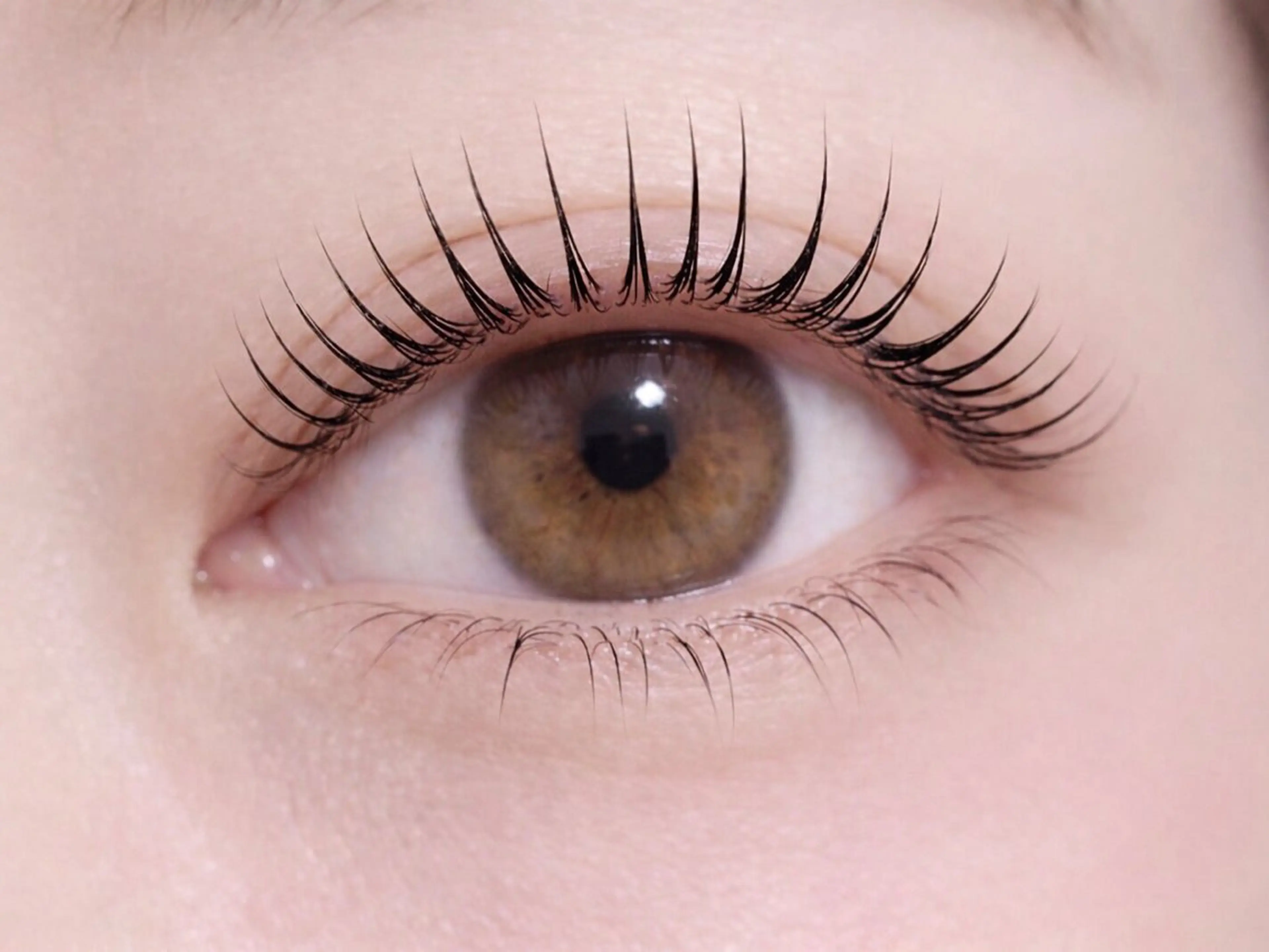 【5週間以内】【オーダーメイドまつげパーマ/パリジェンヌ】3点SET付¥6,000→¥5,500の写真