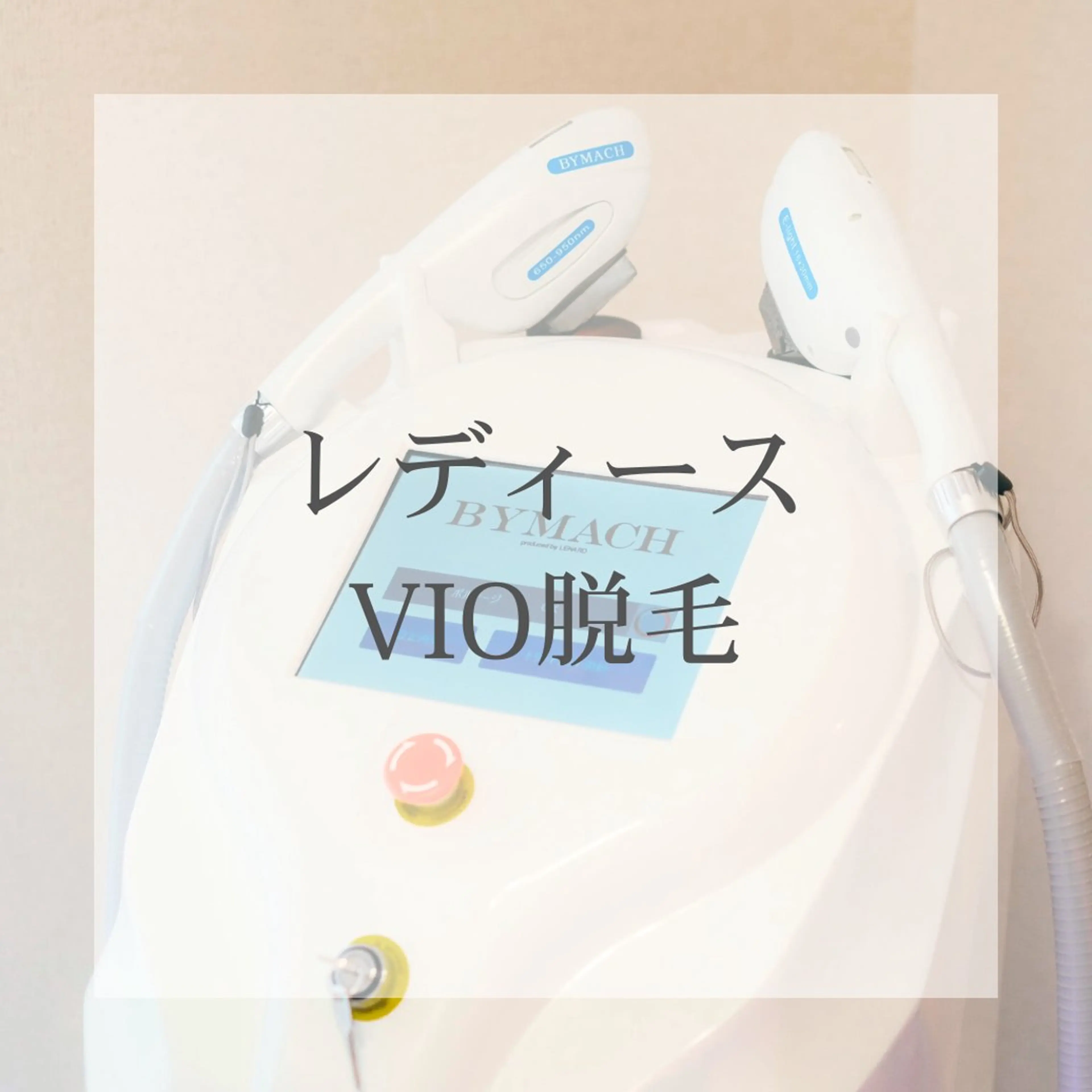 レディース|VIO脱毛の写真