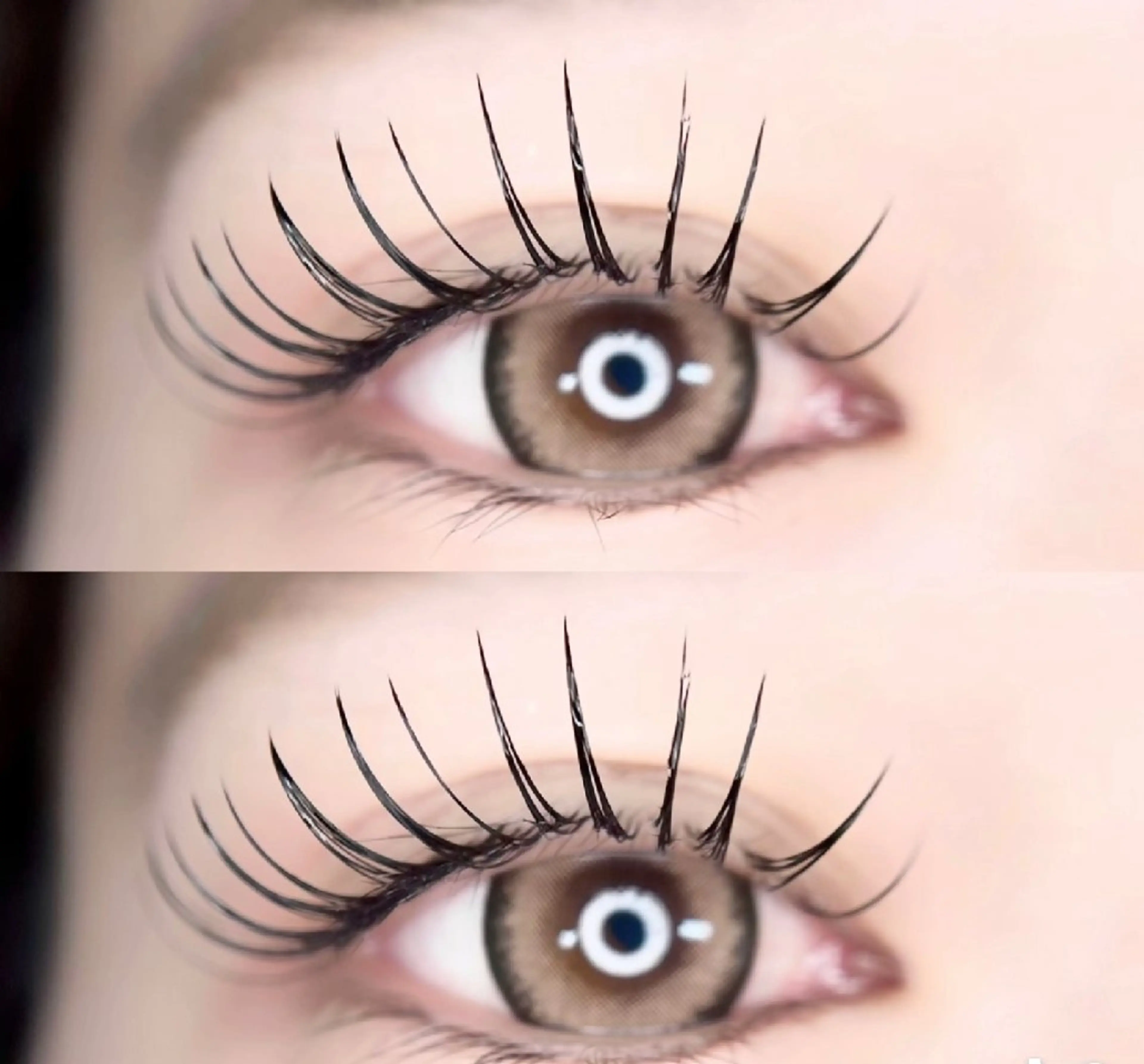 ❄️大人気パリエク❄️パリジェンヌ上+フラット70本+アイシャンプー+キープコーティング剤の写真