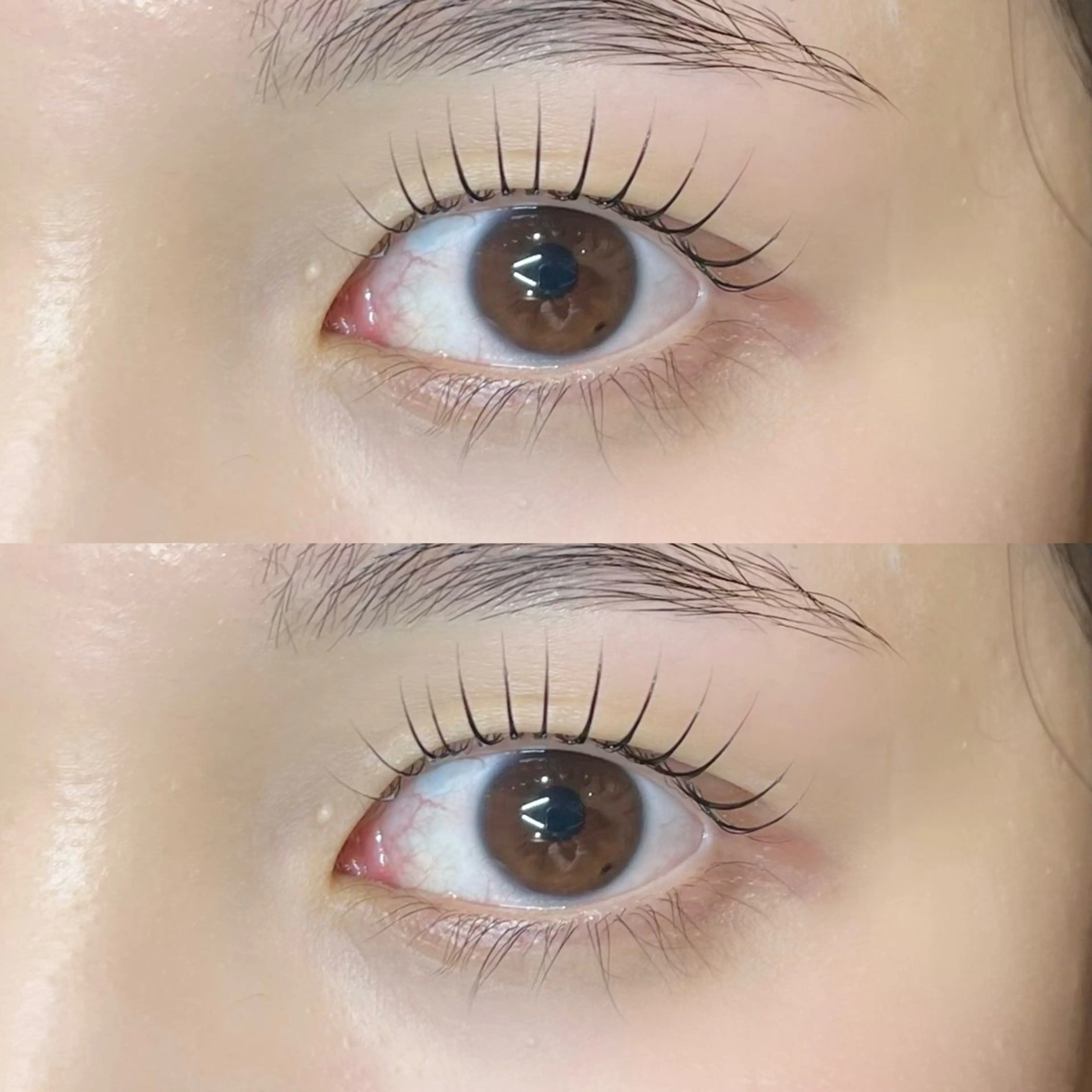 マツエク・マツパ 𝒆𝒊𝒈𝒉𝒕 杏花のマツエク・マツパデザイン