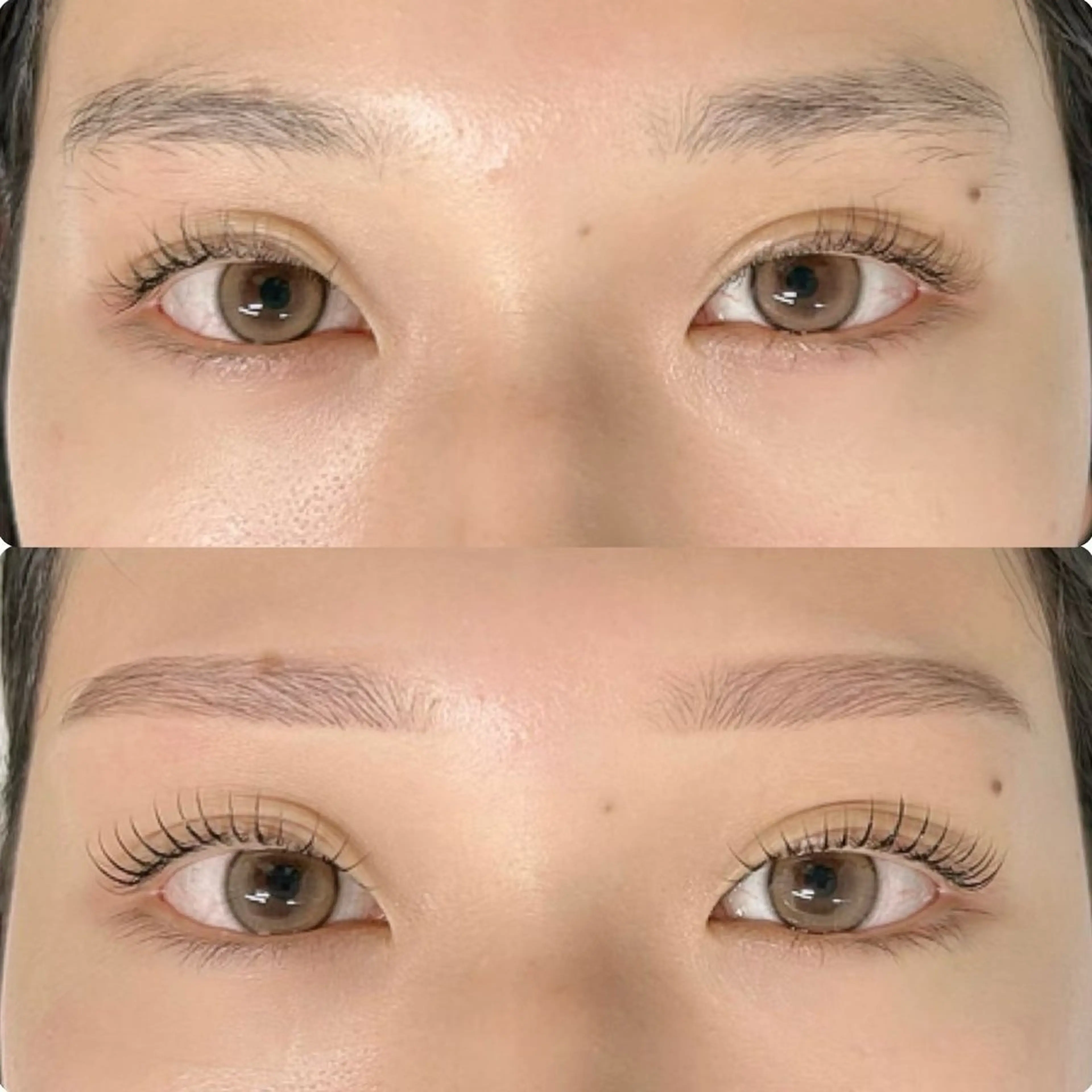 【☆平日限定☆】まつげパーマ+眉毛ワックスの写真