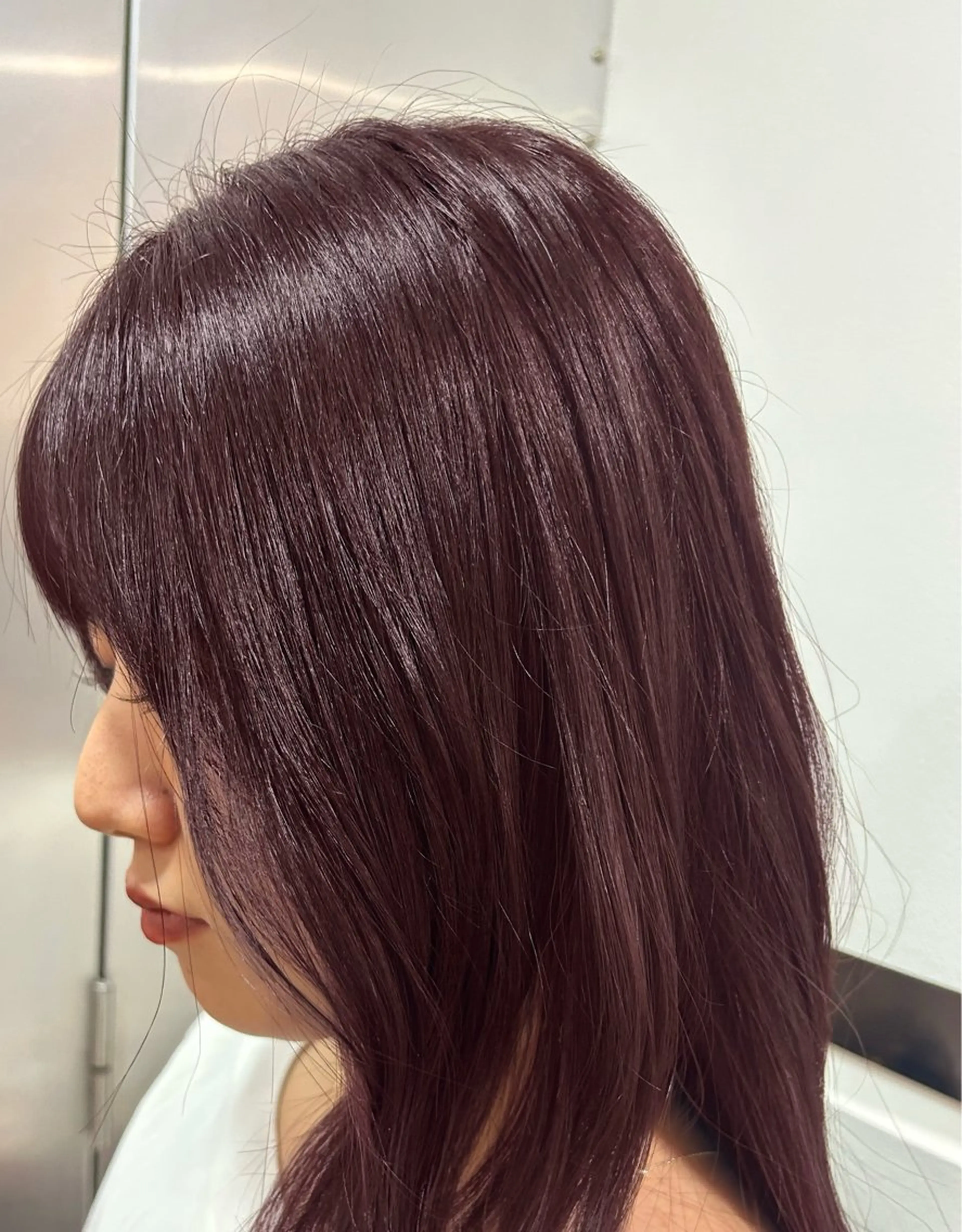 【1月限定‼️】ミニモ限定価格❣️ワンカラー🌱の写真