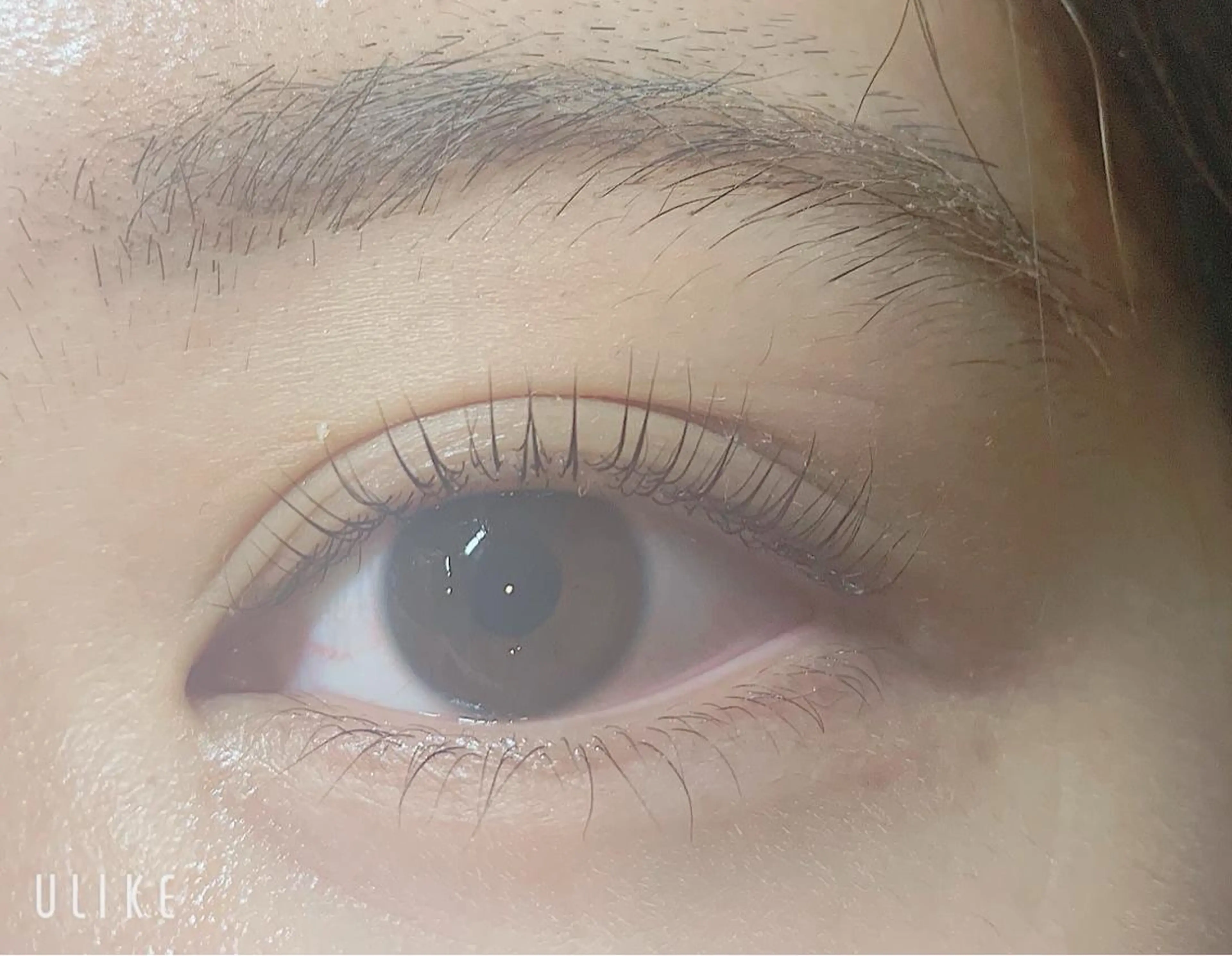 マツエク・マツパ fan.germe 副店長MIYABIのマツエク・マツパデザイン