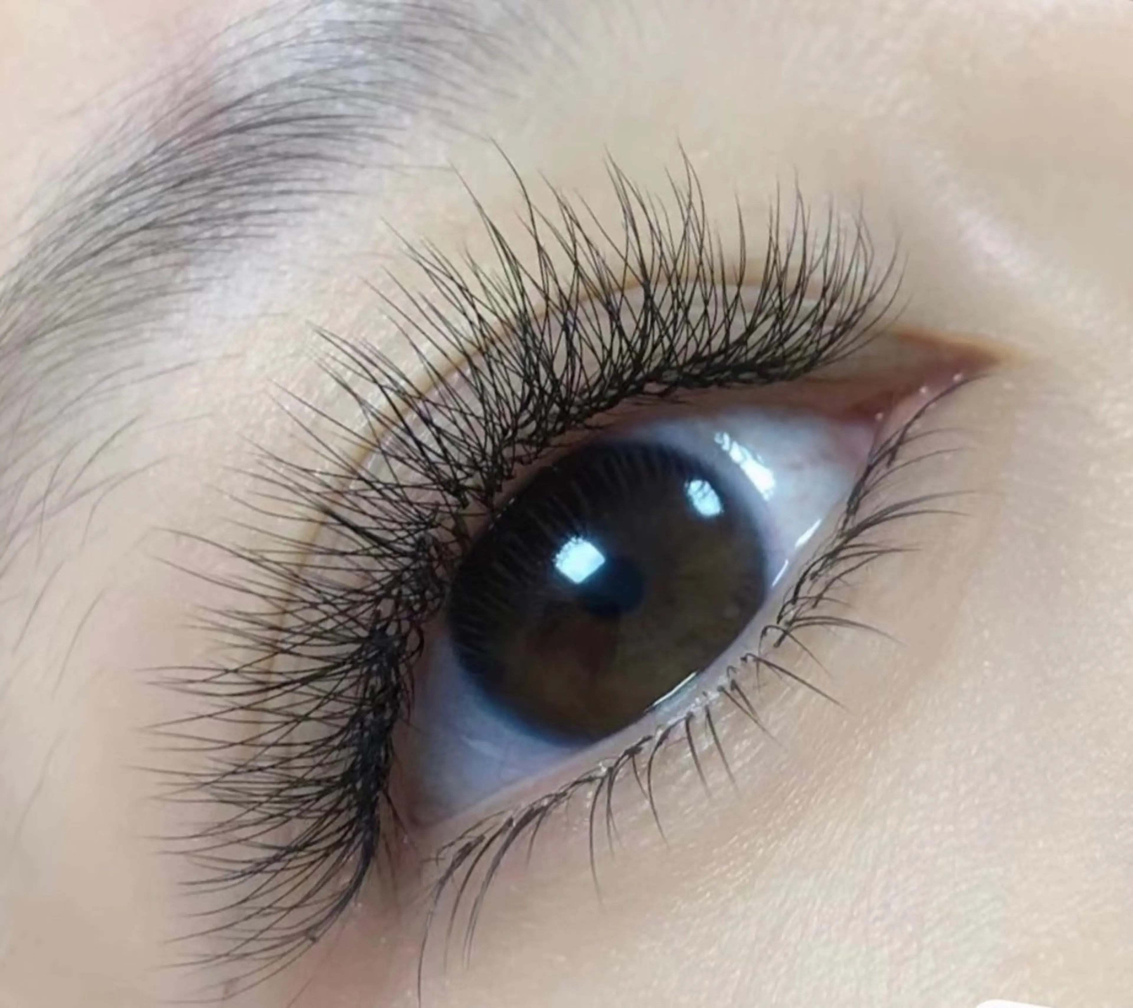 【オフ無料★極細ふわふわ】☆压倒のボリューム感♪海外新技術 3Dボリュ一ムラッシュ100束　¥8200円→6300円の写真