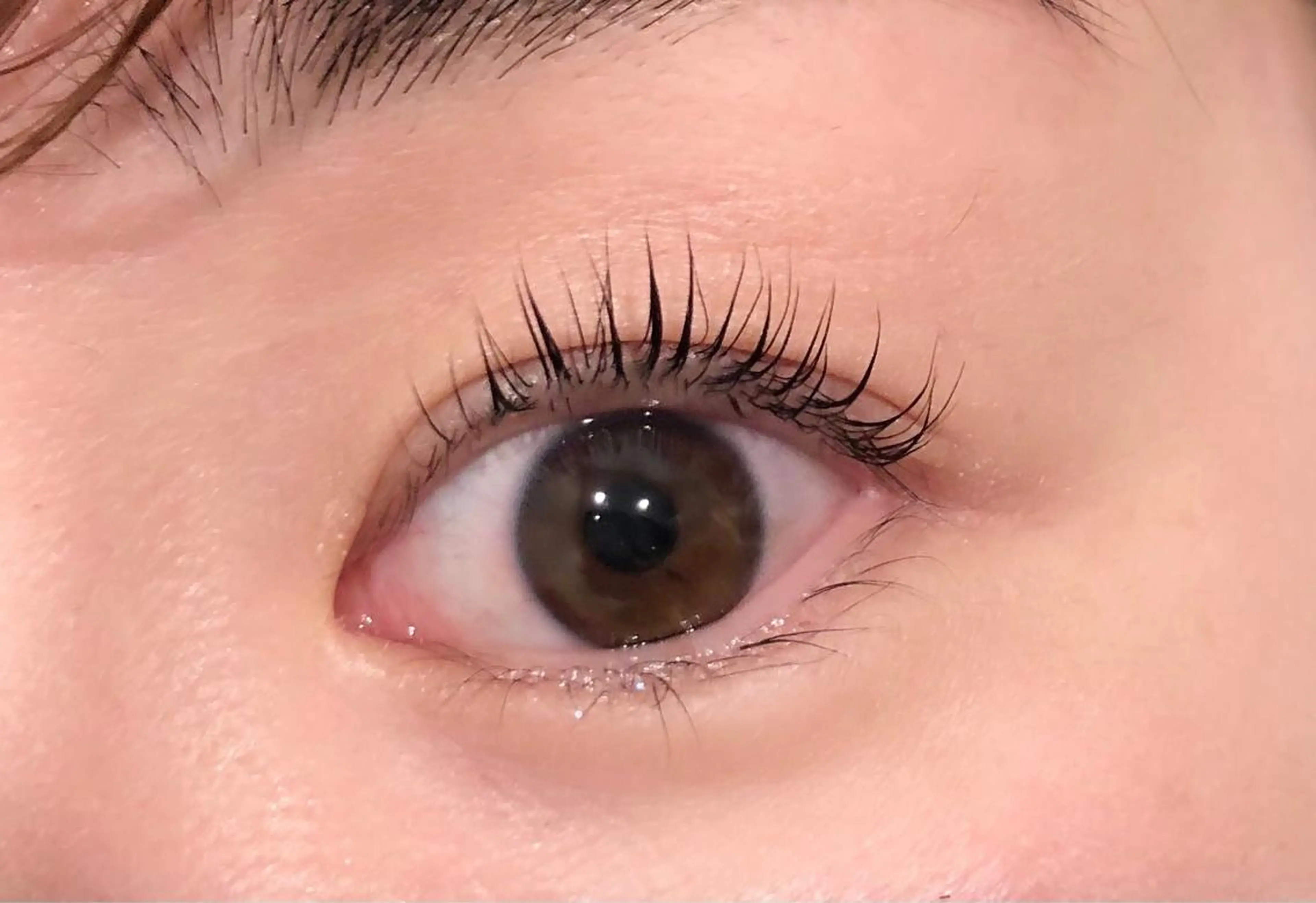 マツエク・マツパ パリジェンヌラッシュリフト マツパ 吉田 瀬麗奈（産休中）のマツエク・マツパデザイン