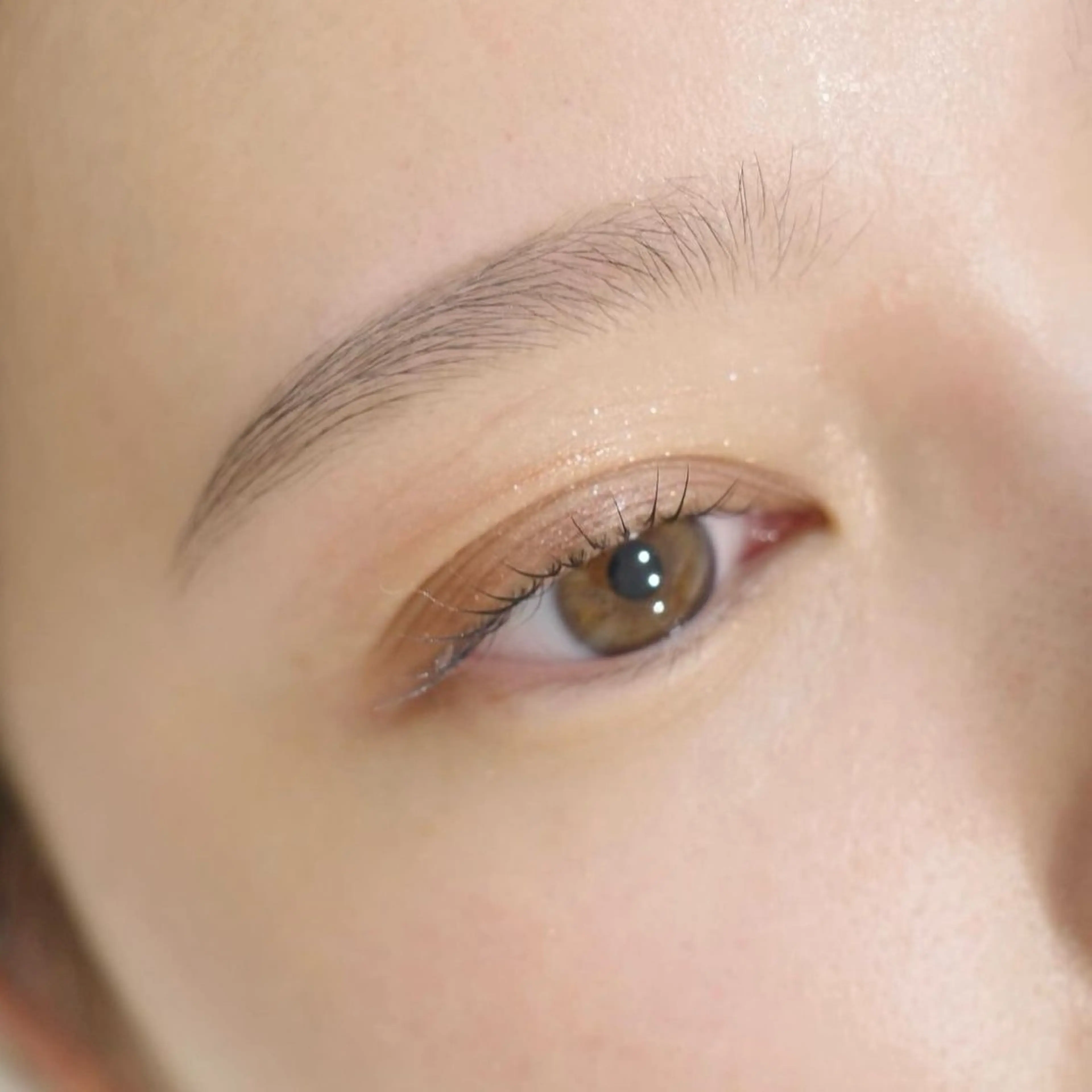 女性限定【Jr.アイブロウデザイナー練習モデル】矯正美眉(顔分析眉毛デザイン+眉毛WAX)の写真