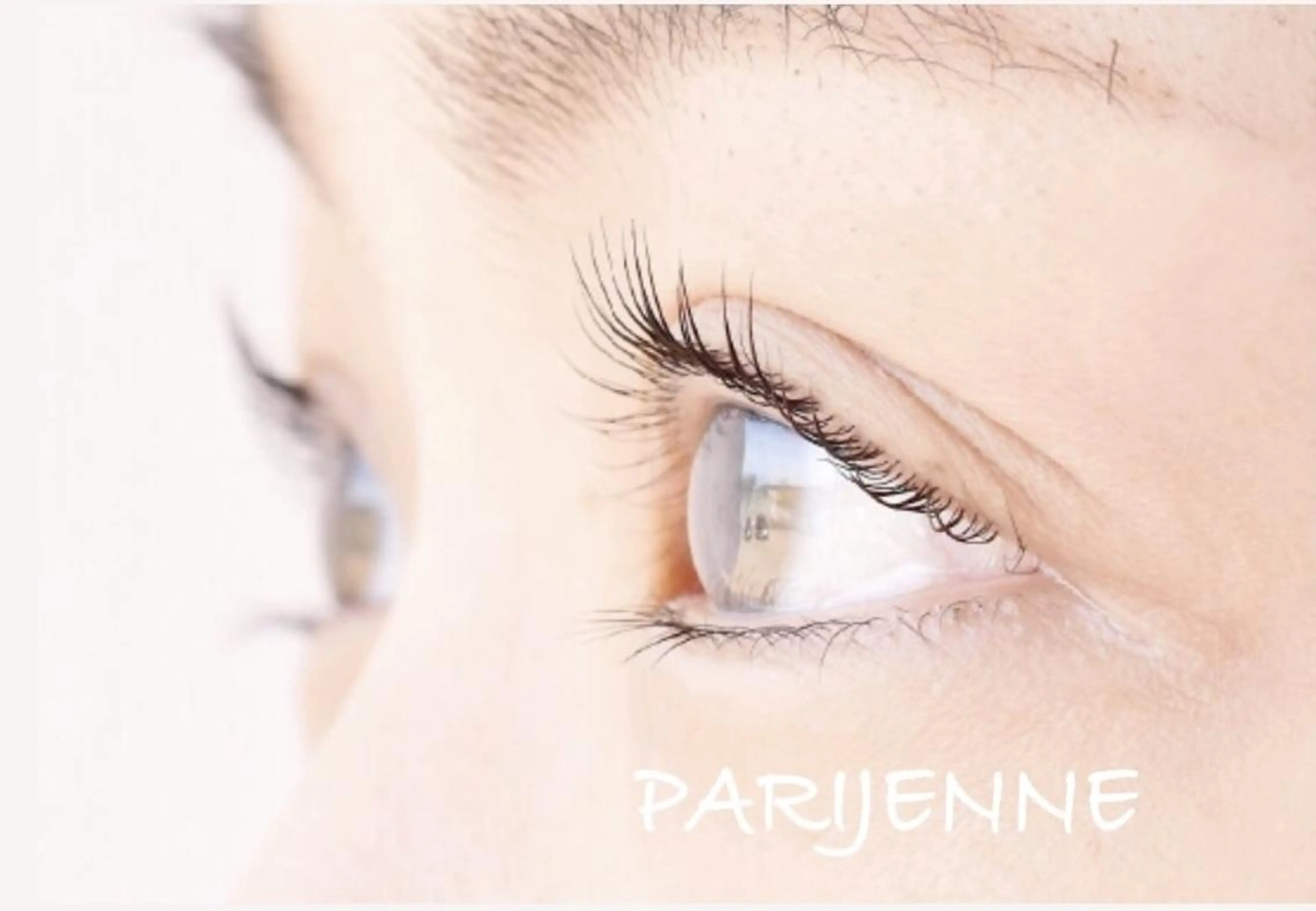 こちらのメニューはご予約できませんの写真