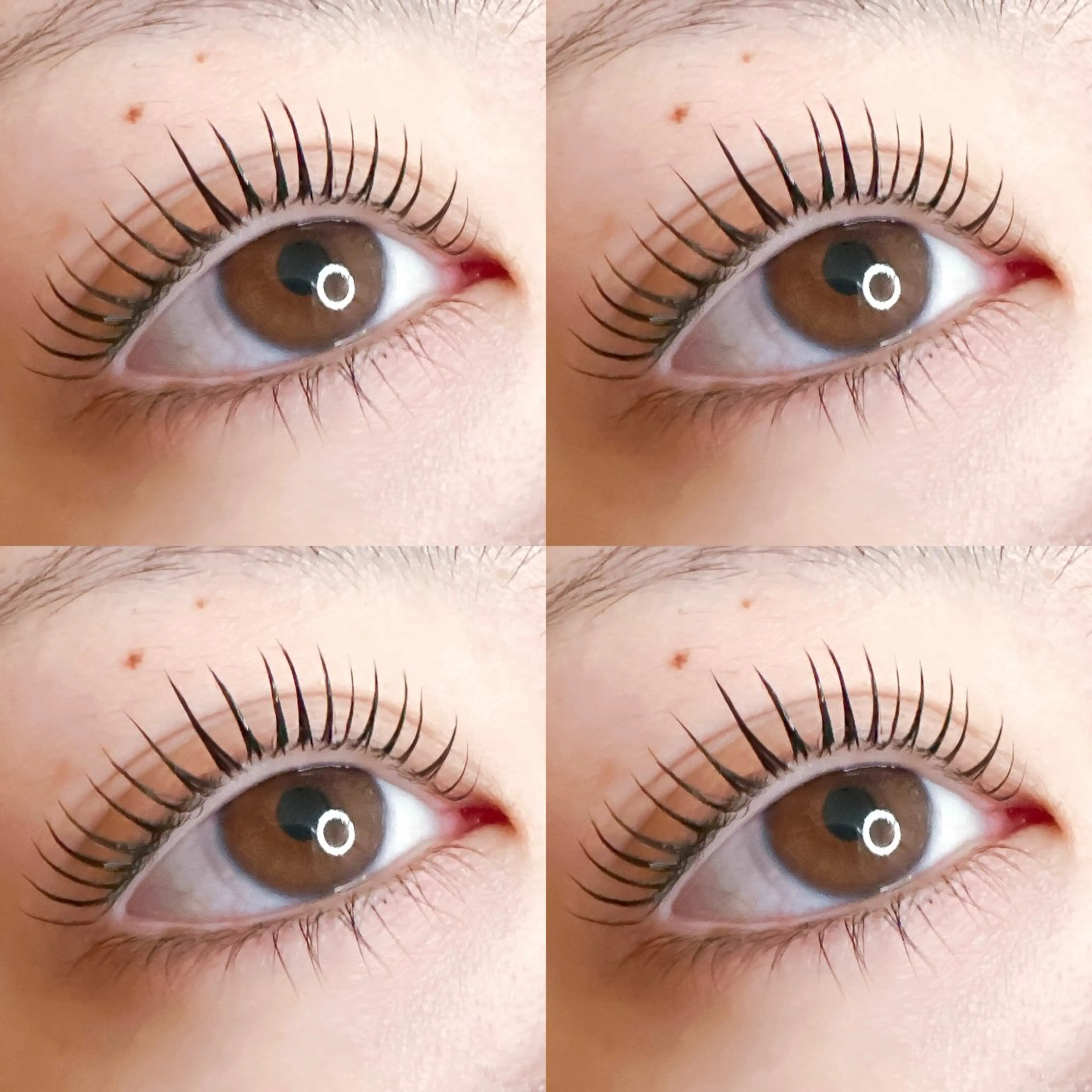 マツエク・マツパ miho【吉祥寺】 ★プライベートサロンのマツエク・マツパデザイン