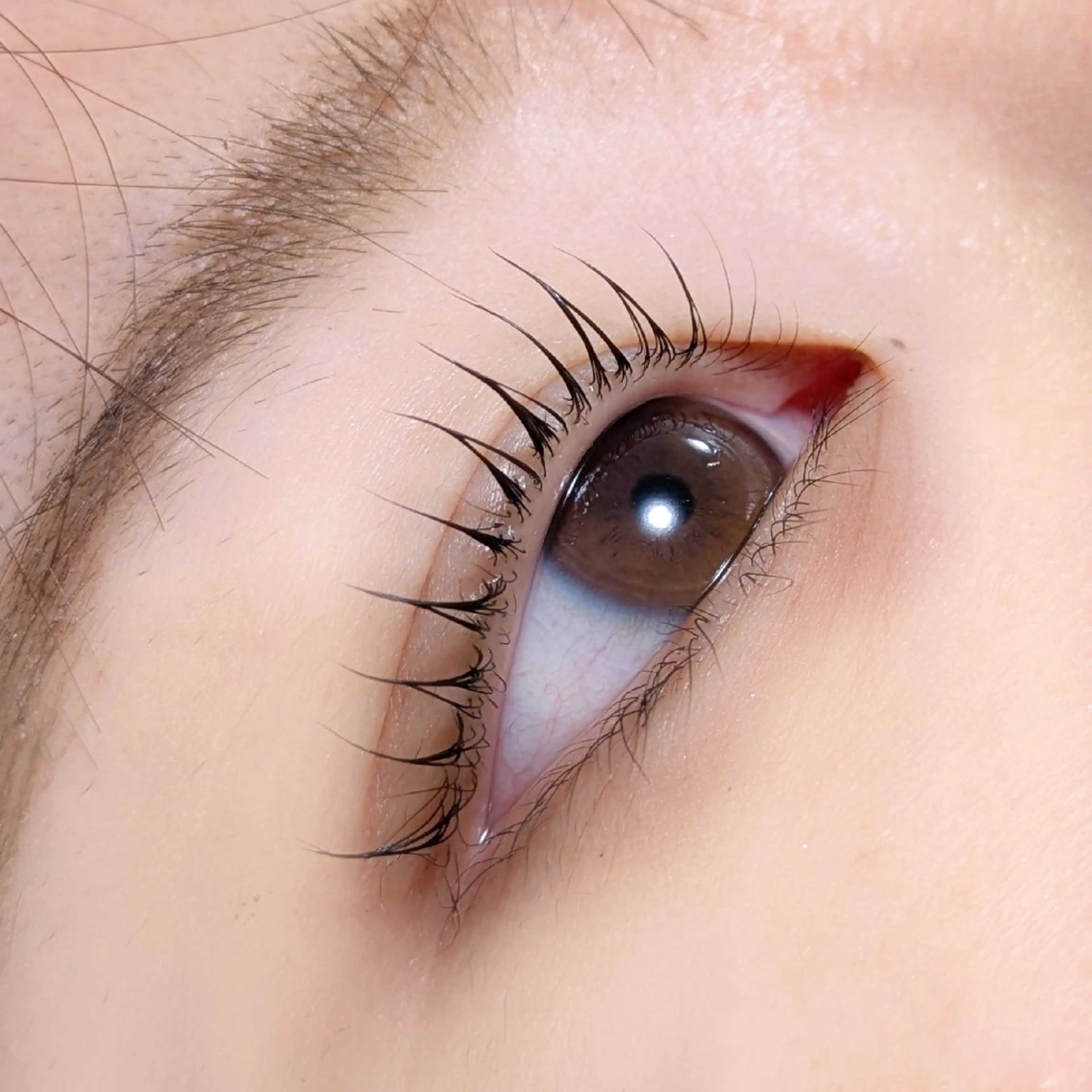 【2回目以降💝】《ケラチントリートメント付き🐹ྀི》まつげパーマorパリジェンヌ どちらも🆗⸝⋆の写真